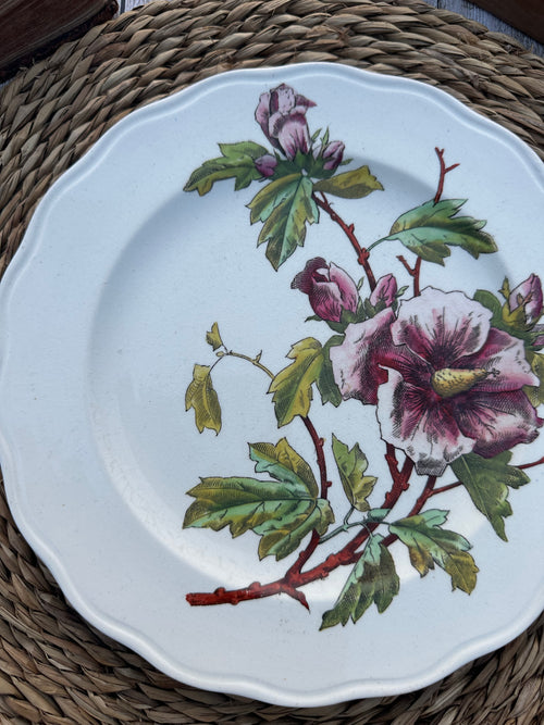 Polychrome plate BWM & Co (Brown Westhead Moore) - September 1868