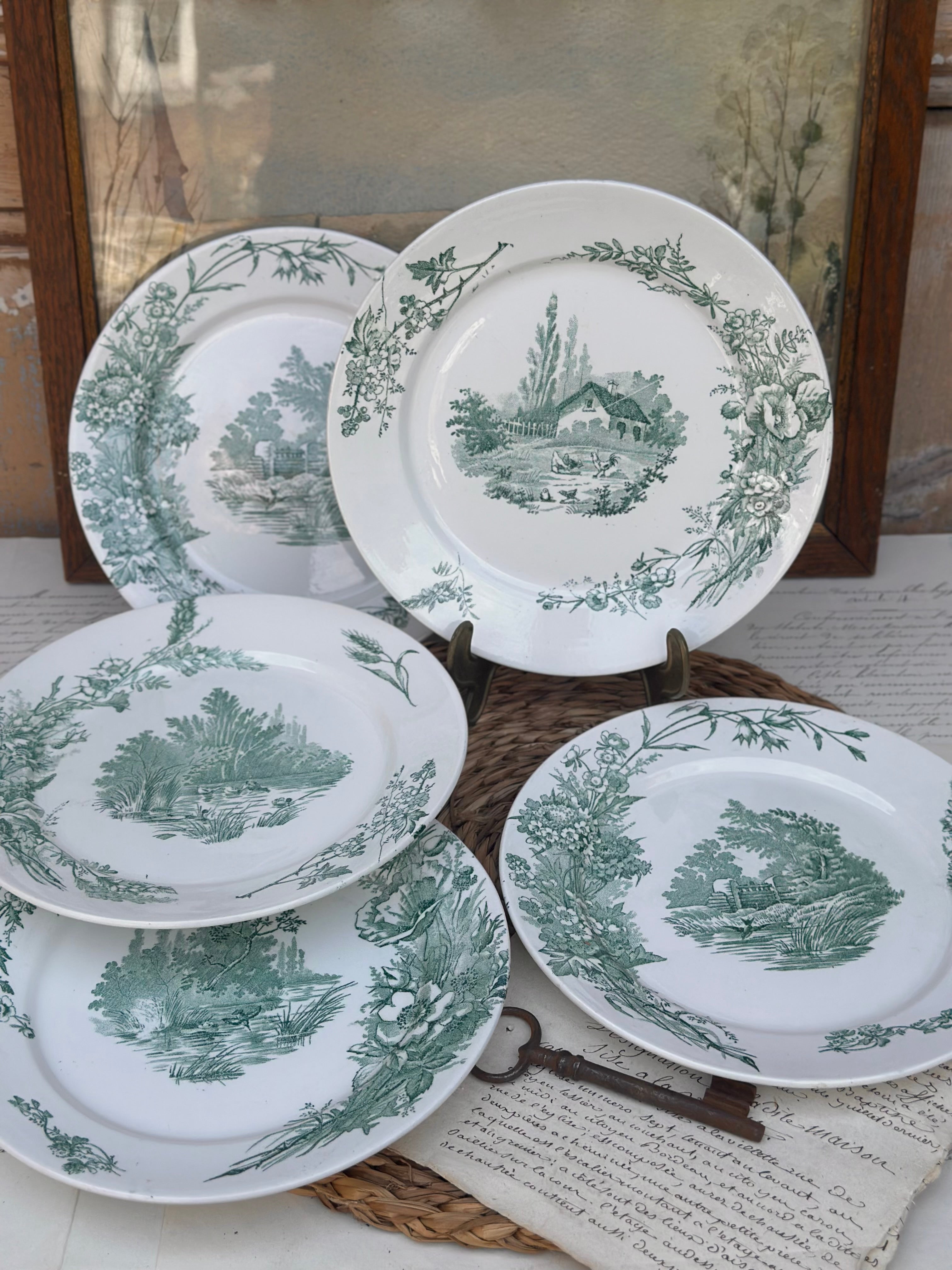 Suite de 5 assiettes plates Pexonne modèle Champêtre