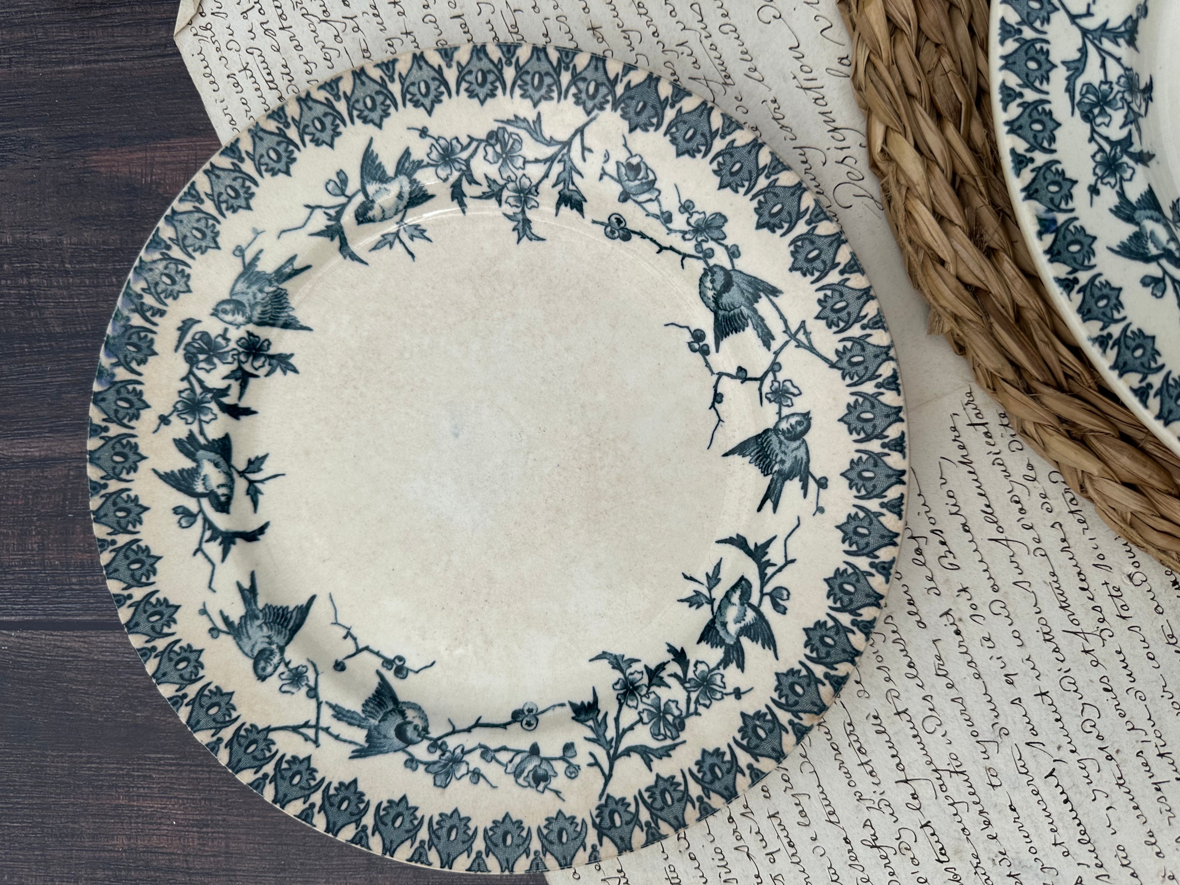Reserved - 9 Choisy le Roi Lyonnais pattern plates (8 dinner plates and one dessert plate)