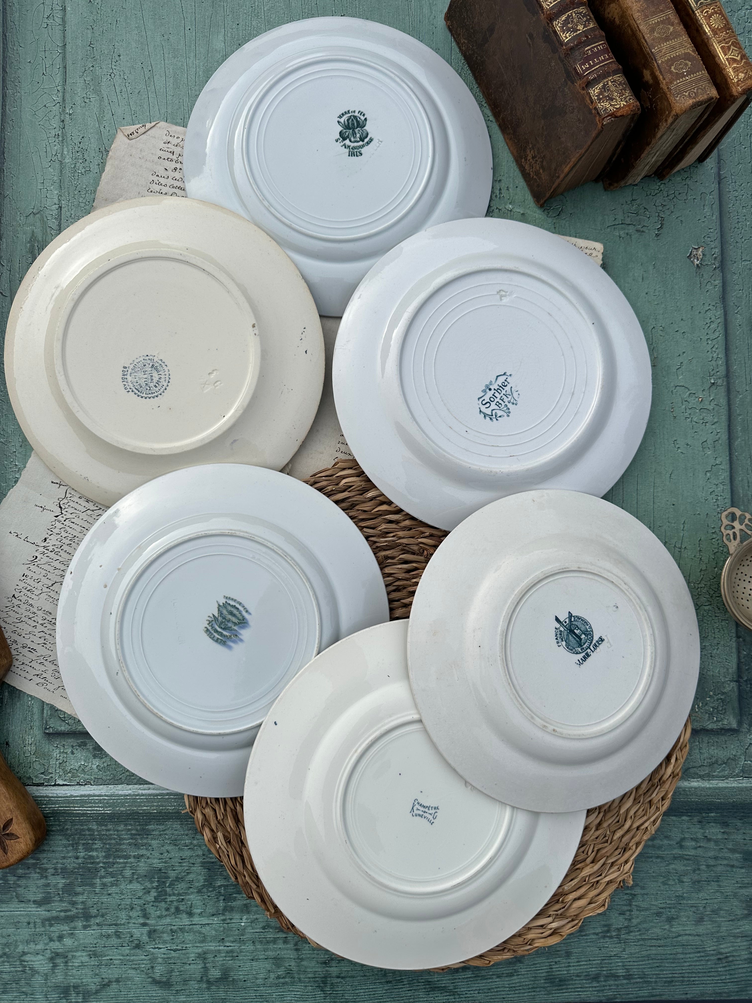 III. Set of 6 mismatched ironstone dinner plates