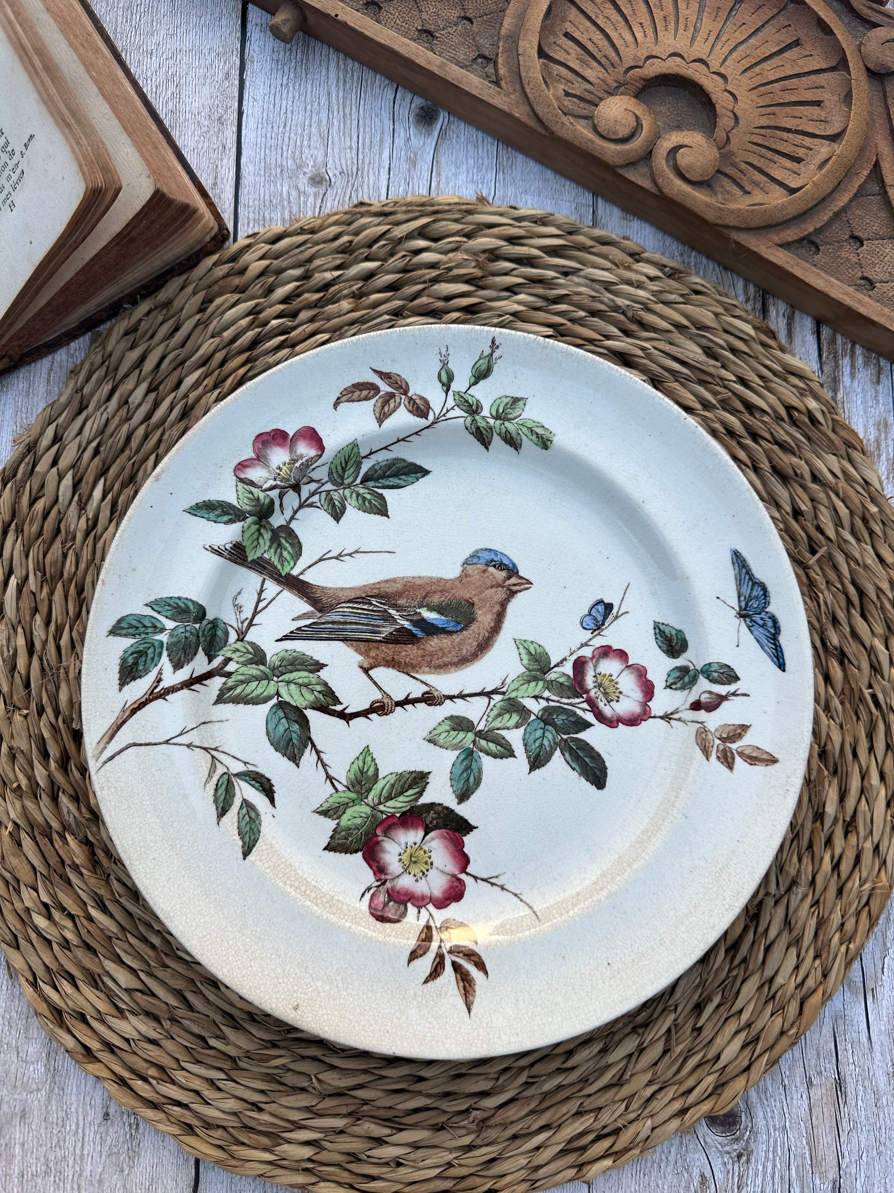 Assiette polychrome John Mortlock - Chaffinch