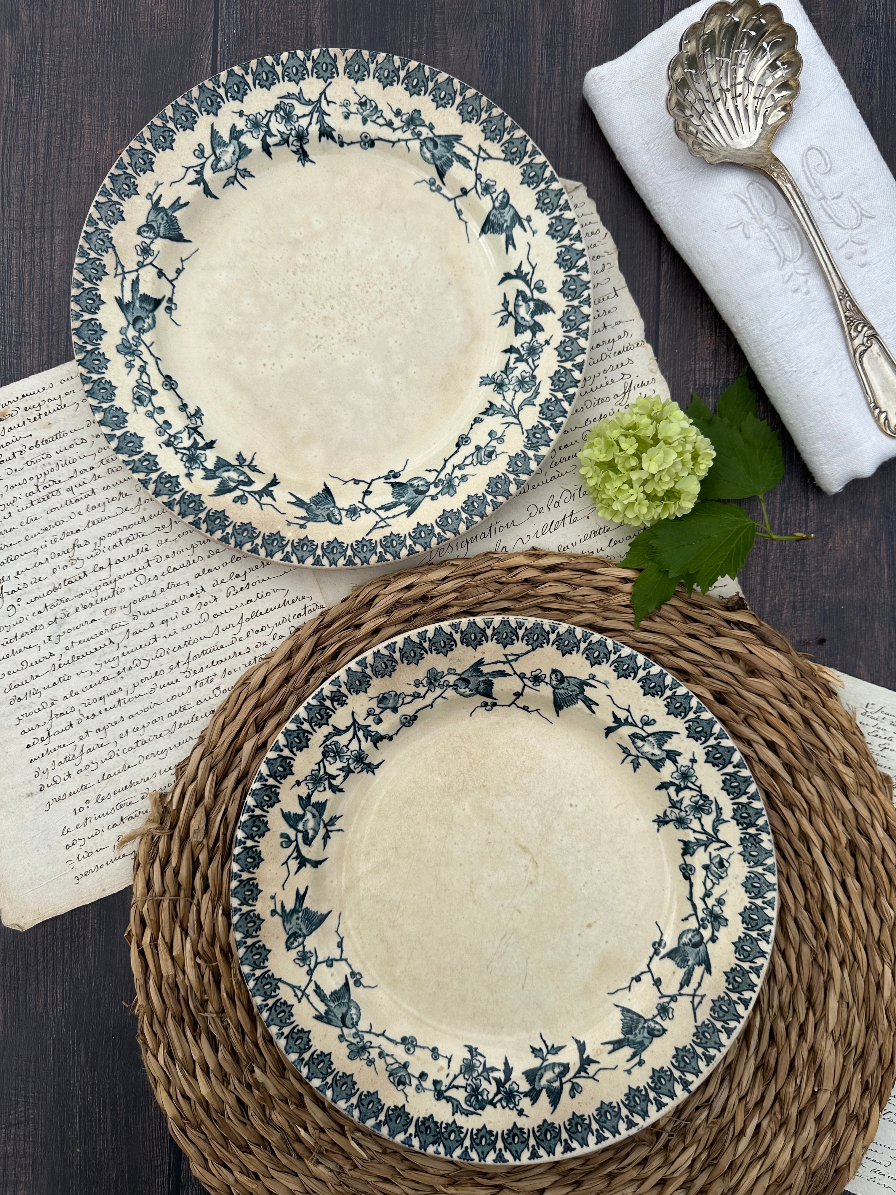Reserved - 9 Choisy le Roi Lyonnais pattern plates (8 dinner plates and one dessert plate)