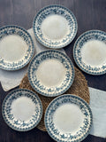 Reserved - 9 Choisy le Roi Lyonnais pattern plates (8 dinner plates and one dessert plate)