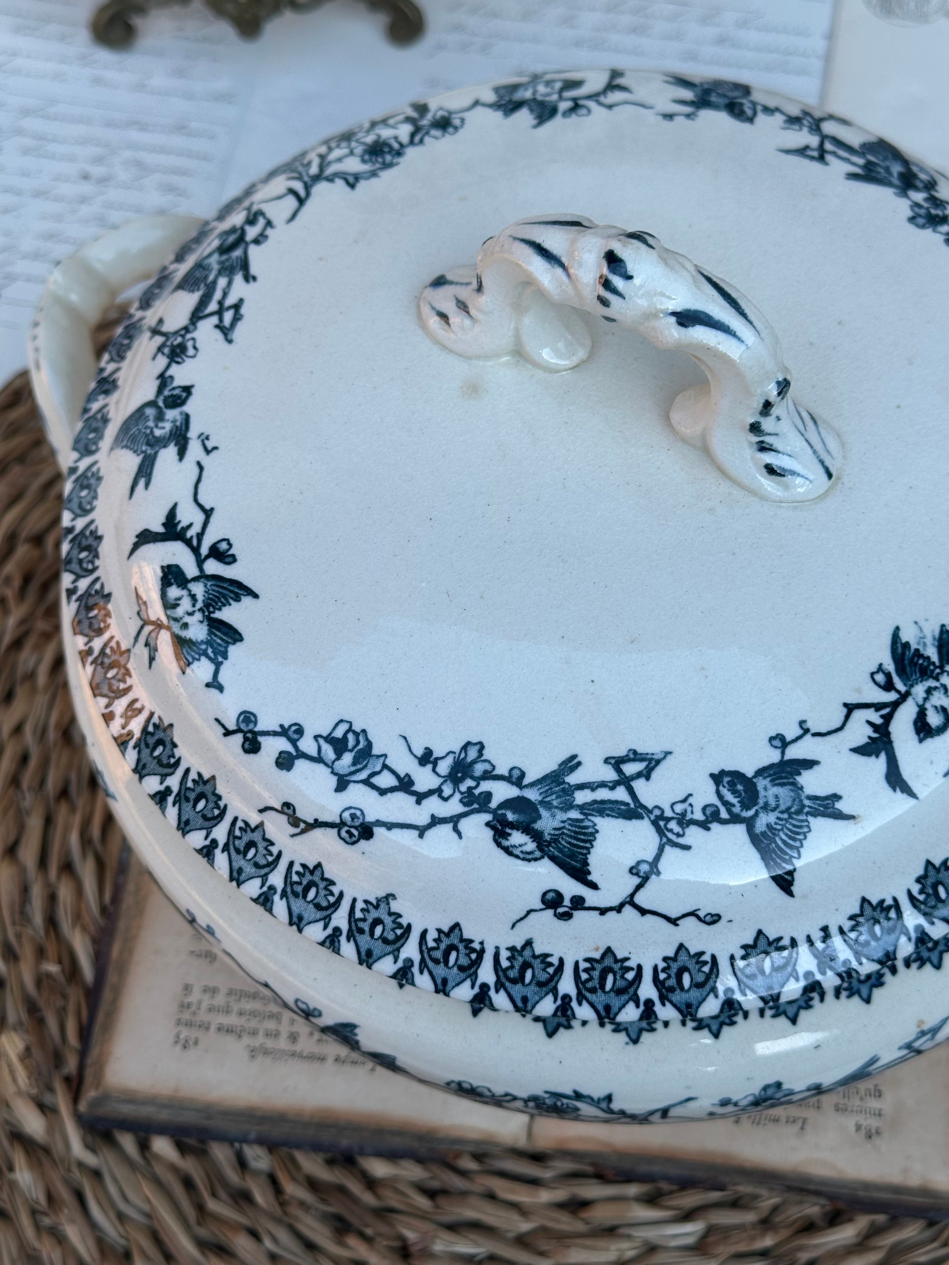 Choisy le Roi Lyonnais pattern soup tureen