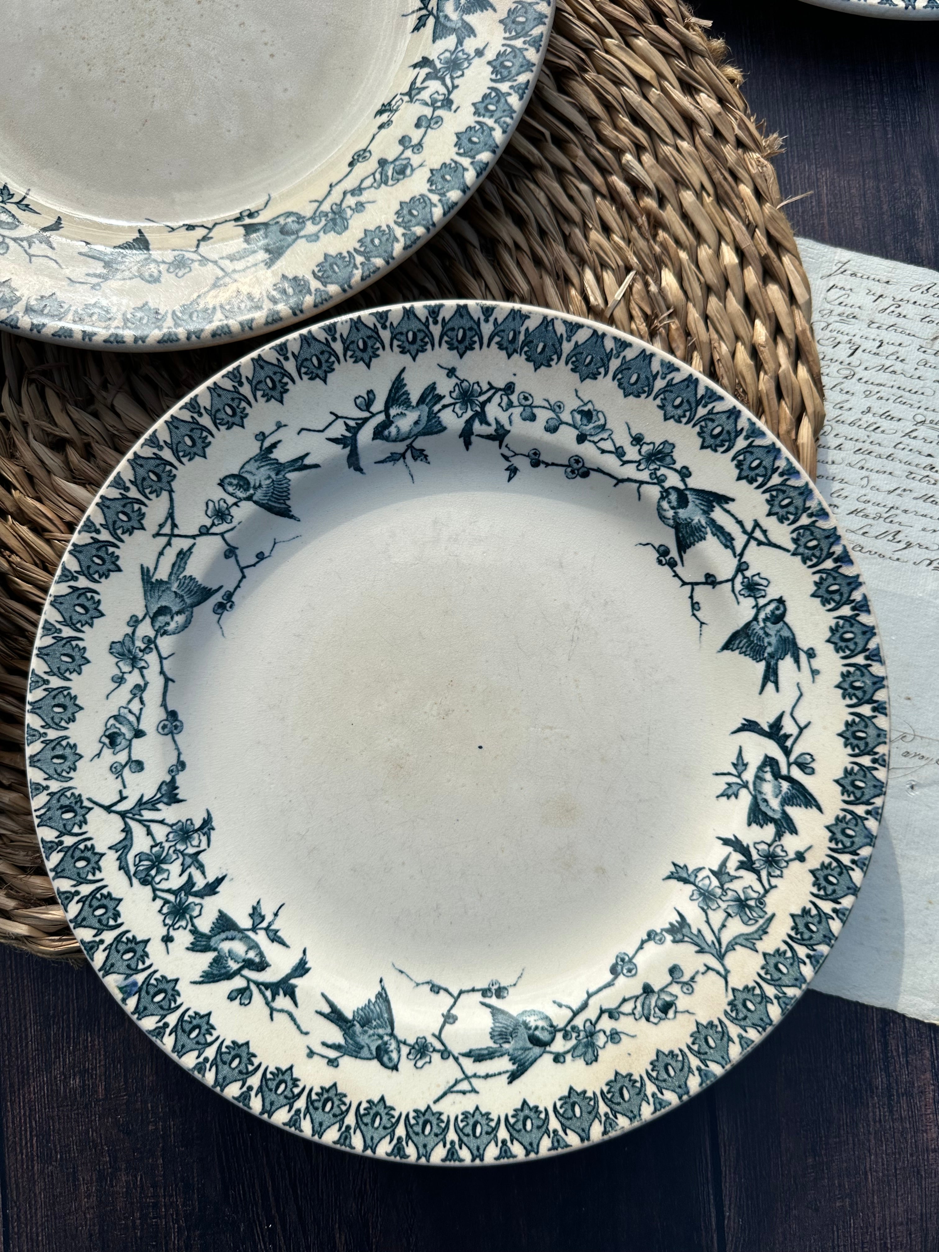 Reserved - 9 Choisy le Roi Lyonnais pattern plates (8 dinner plates and one dessert plate)
