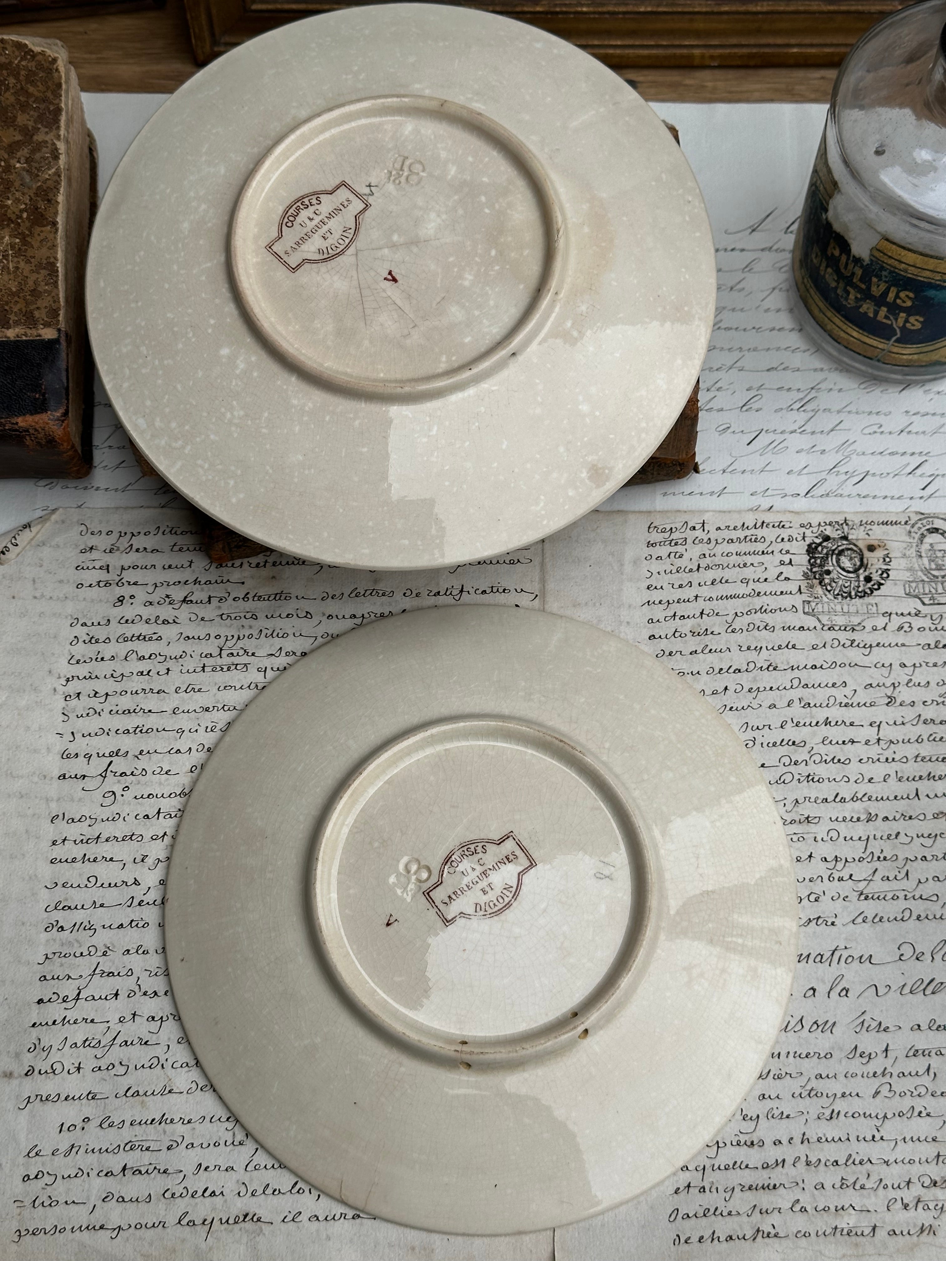 Paire d'assiettes parlantes polychromes Sarreguemines série Courses