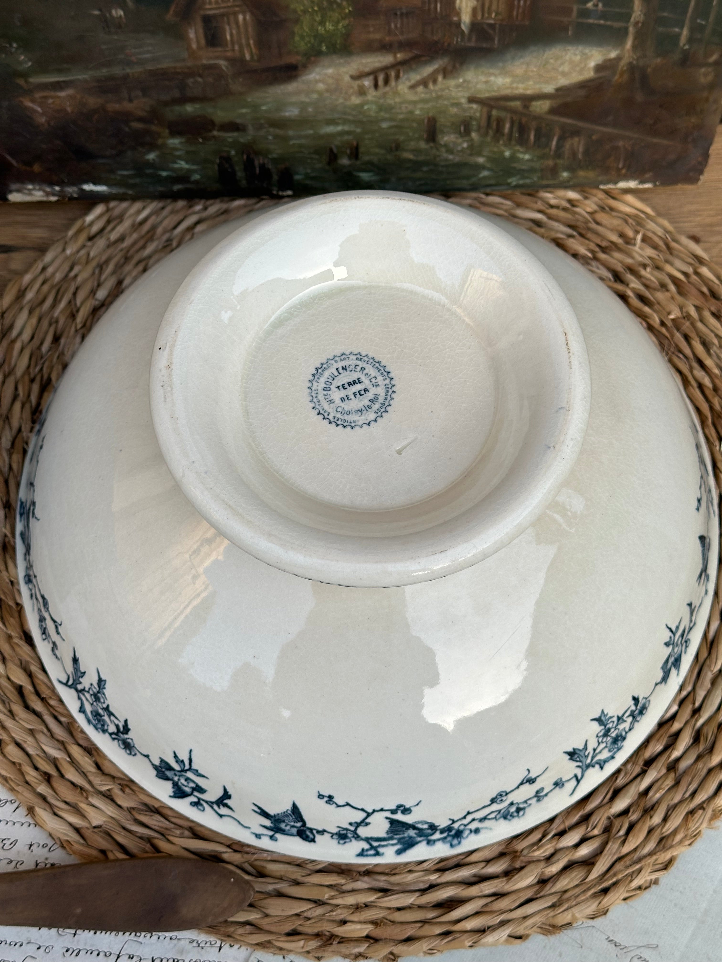 Large ironstone salad bowl Choisy le Roi Lyonnais model