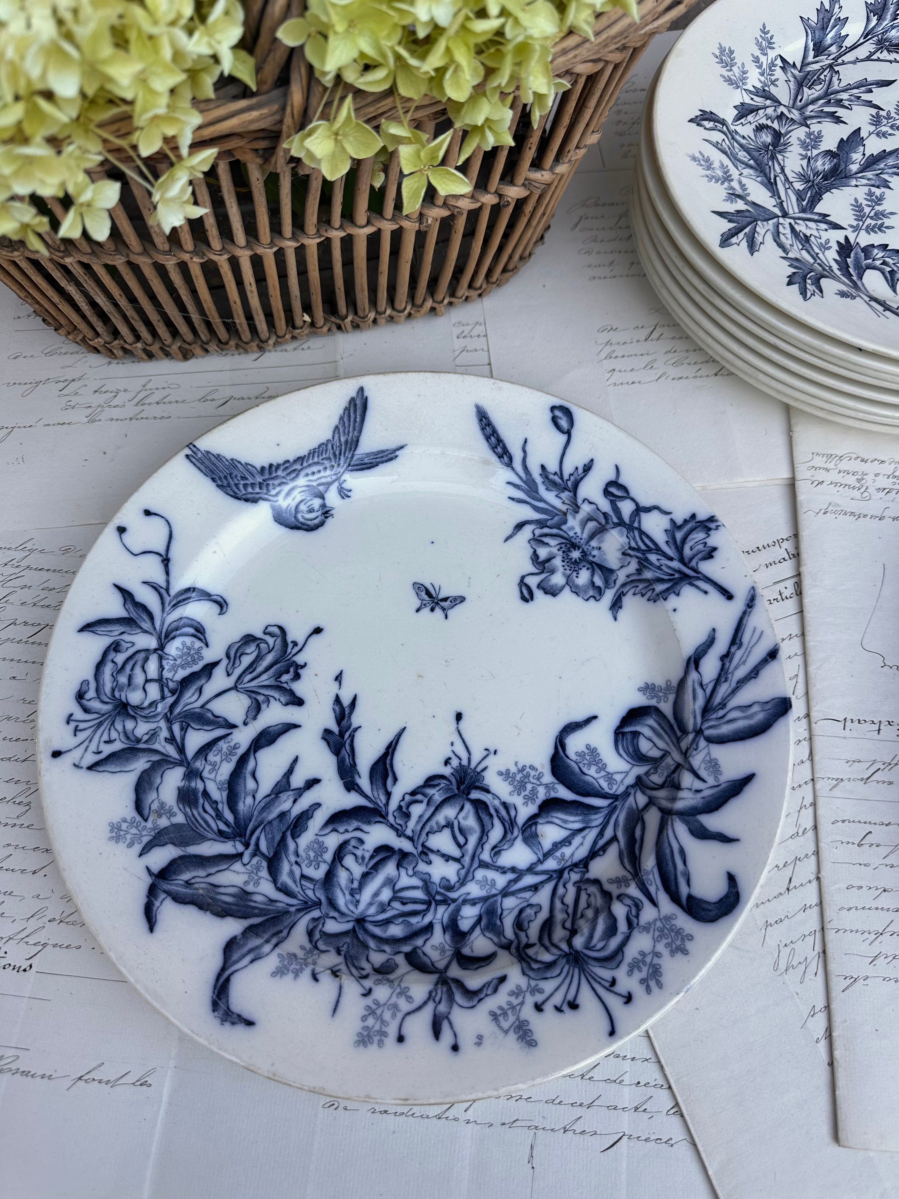 BFK round dish Flora model