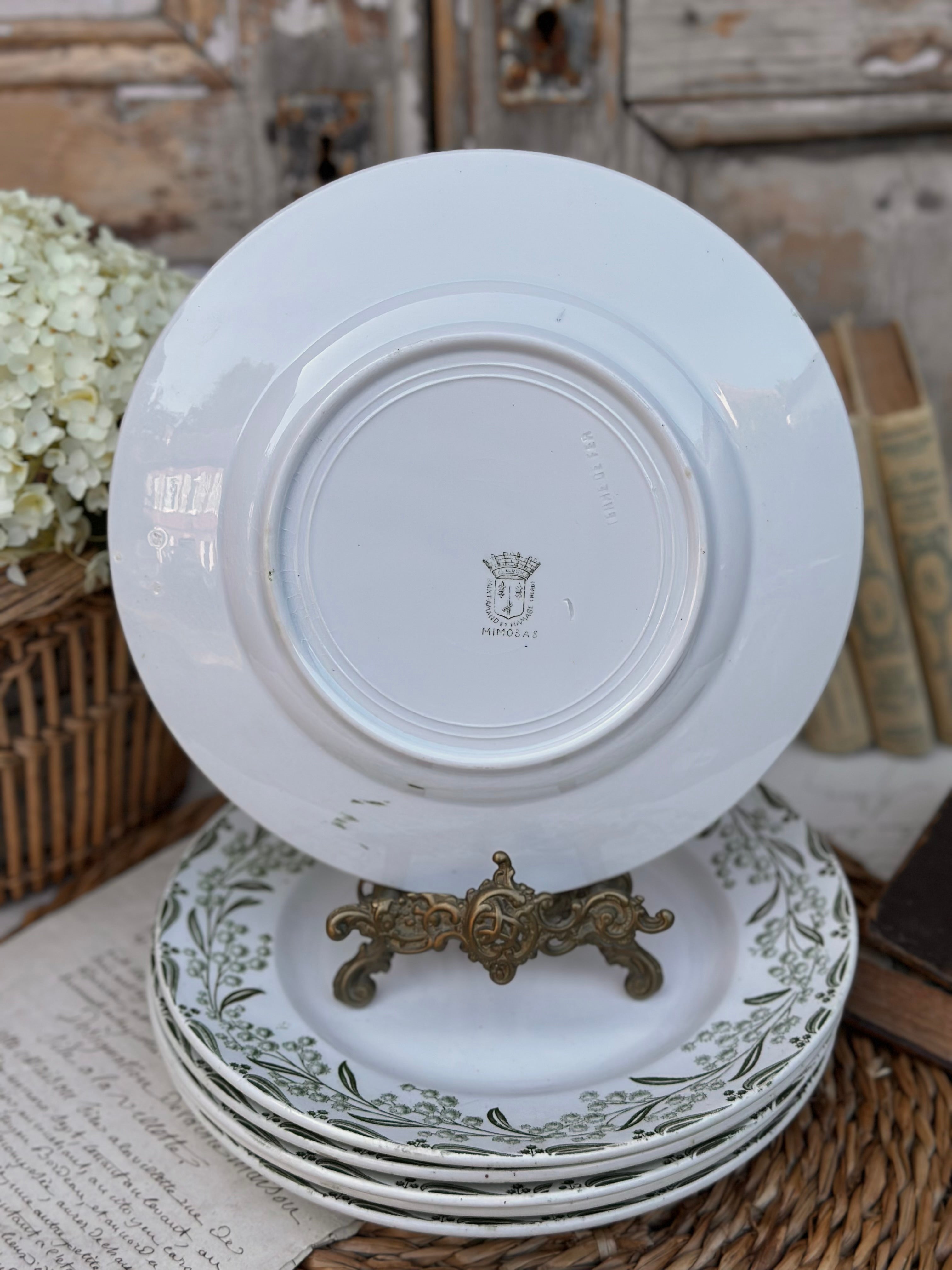 I. Série de 6 assiettes plates St. Amand modèle Mimosa