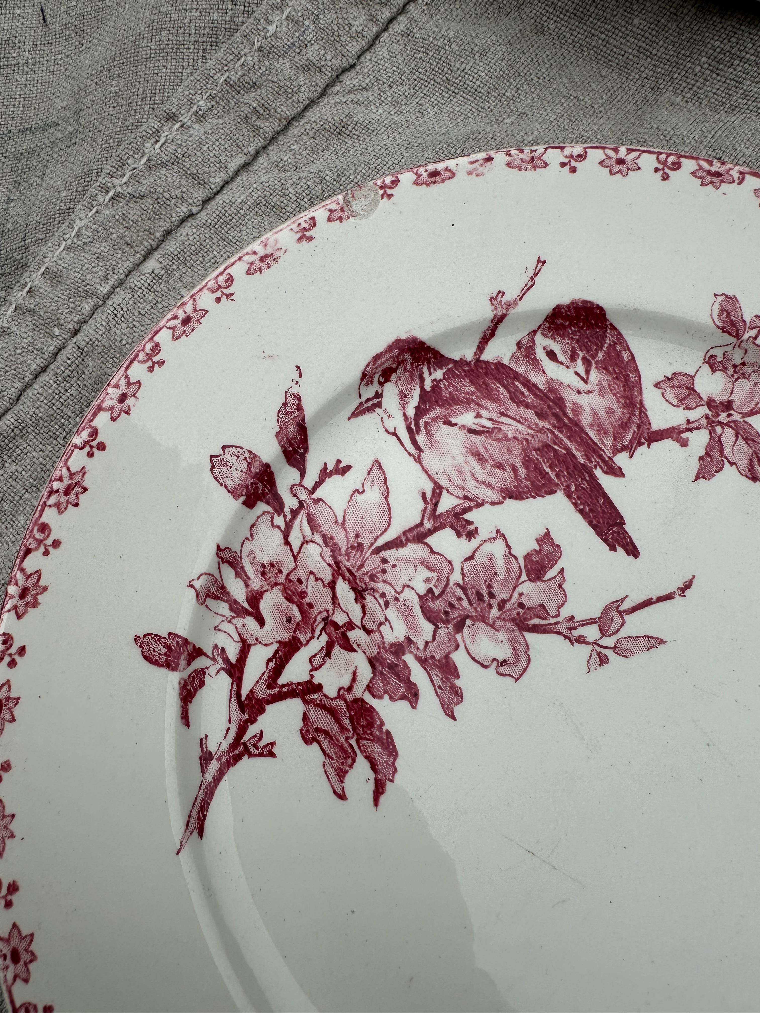 Set of 3 assorted dinner plates
