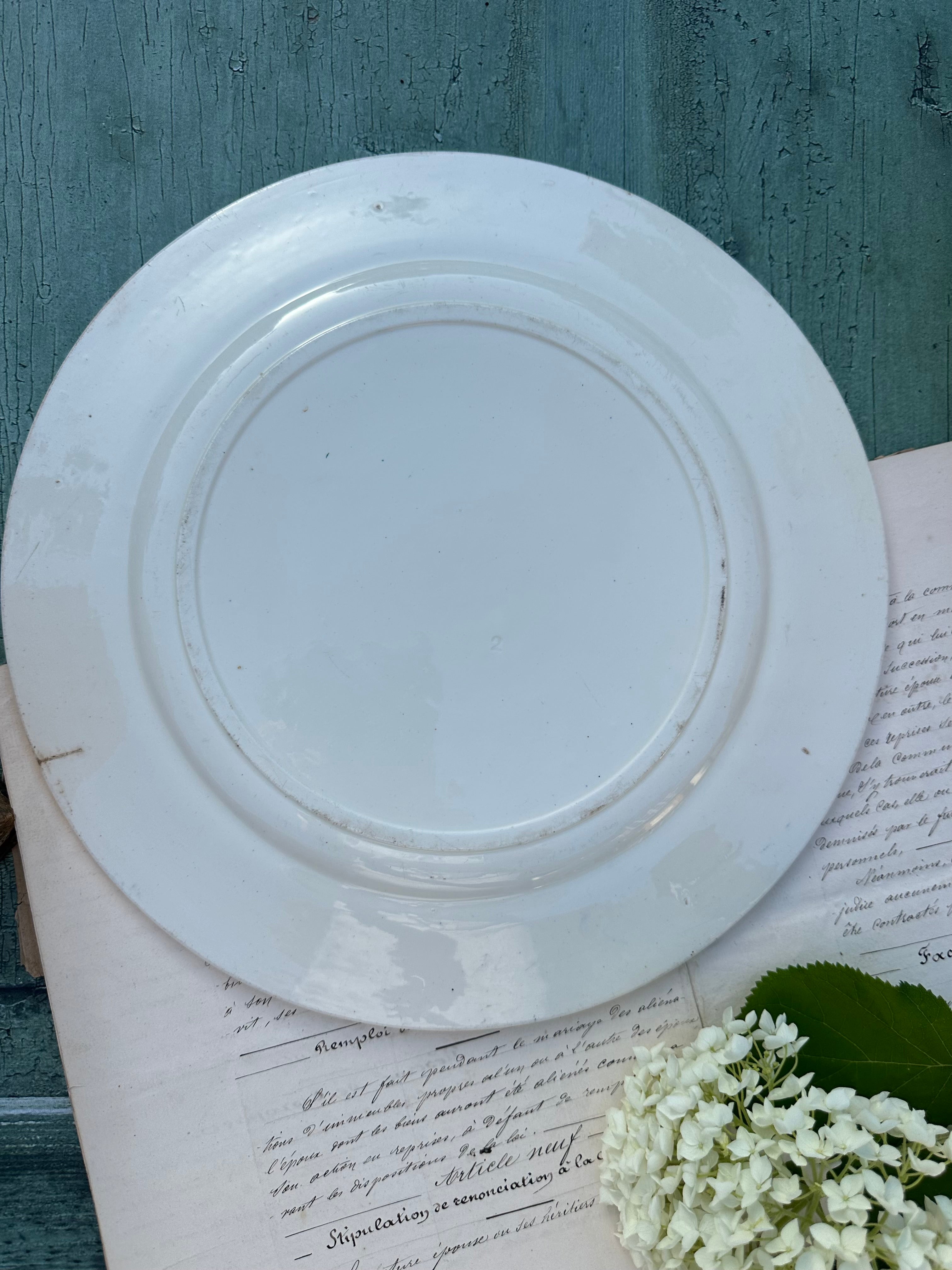 Grand plat rond Clairefontaine ?