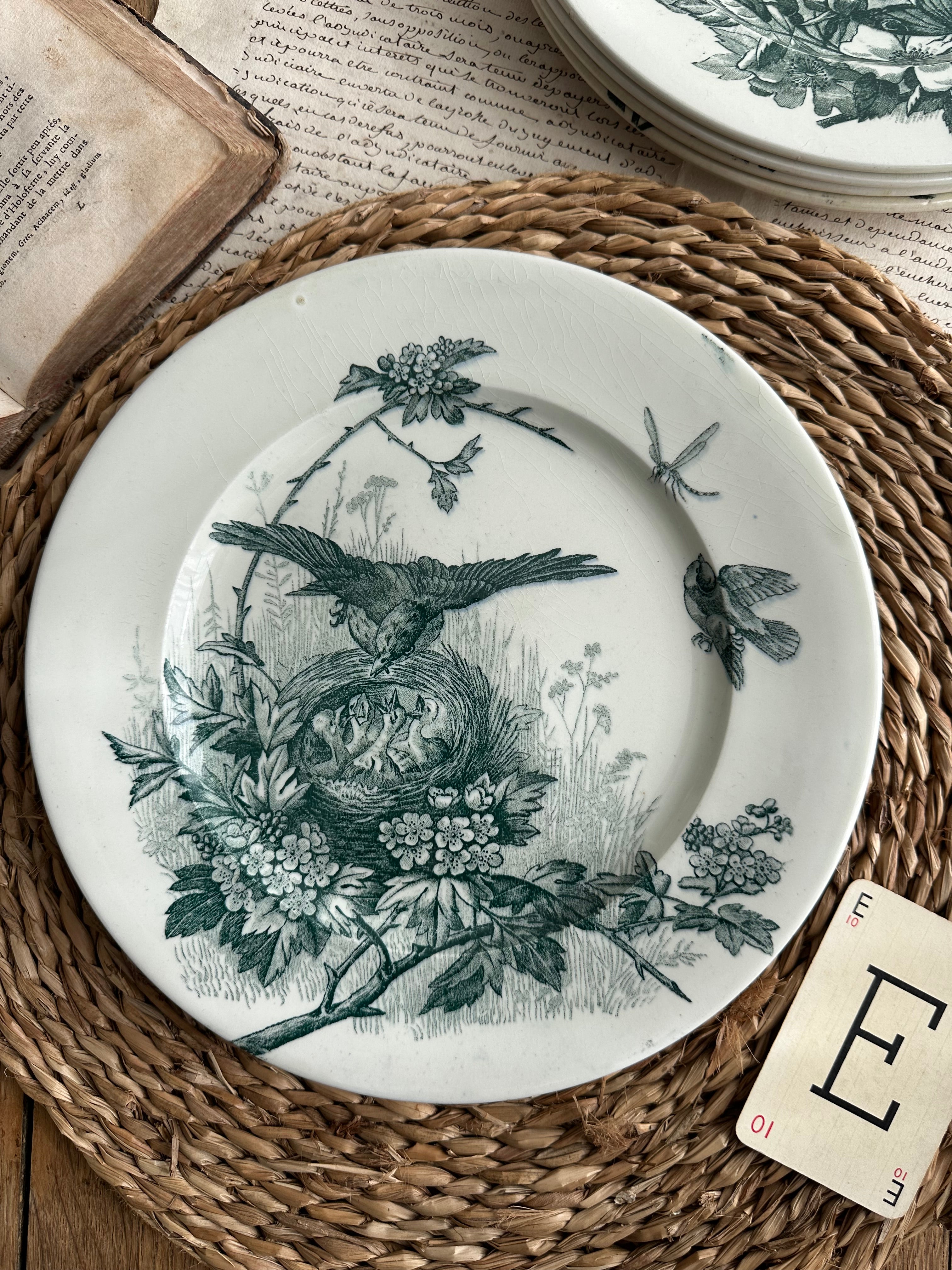 Assiette plate Jules Vieillard Bordeaux modèle Oiseaux