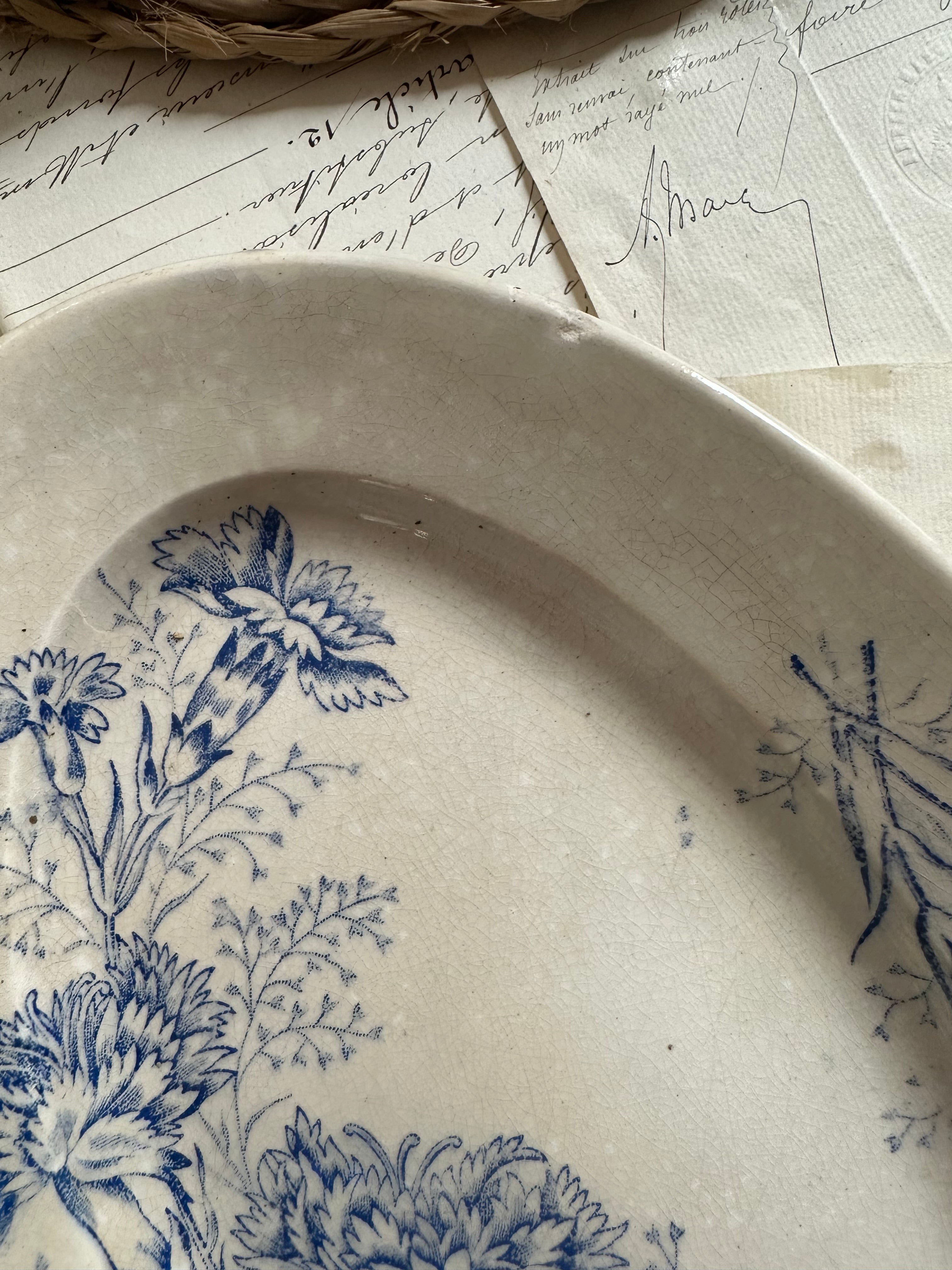 Small oval ironstone dish, Carnation pattern