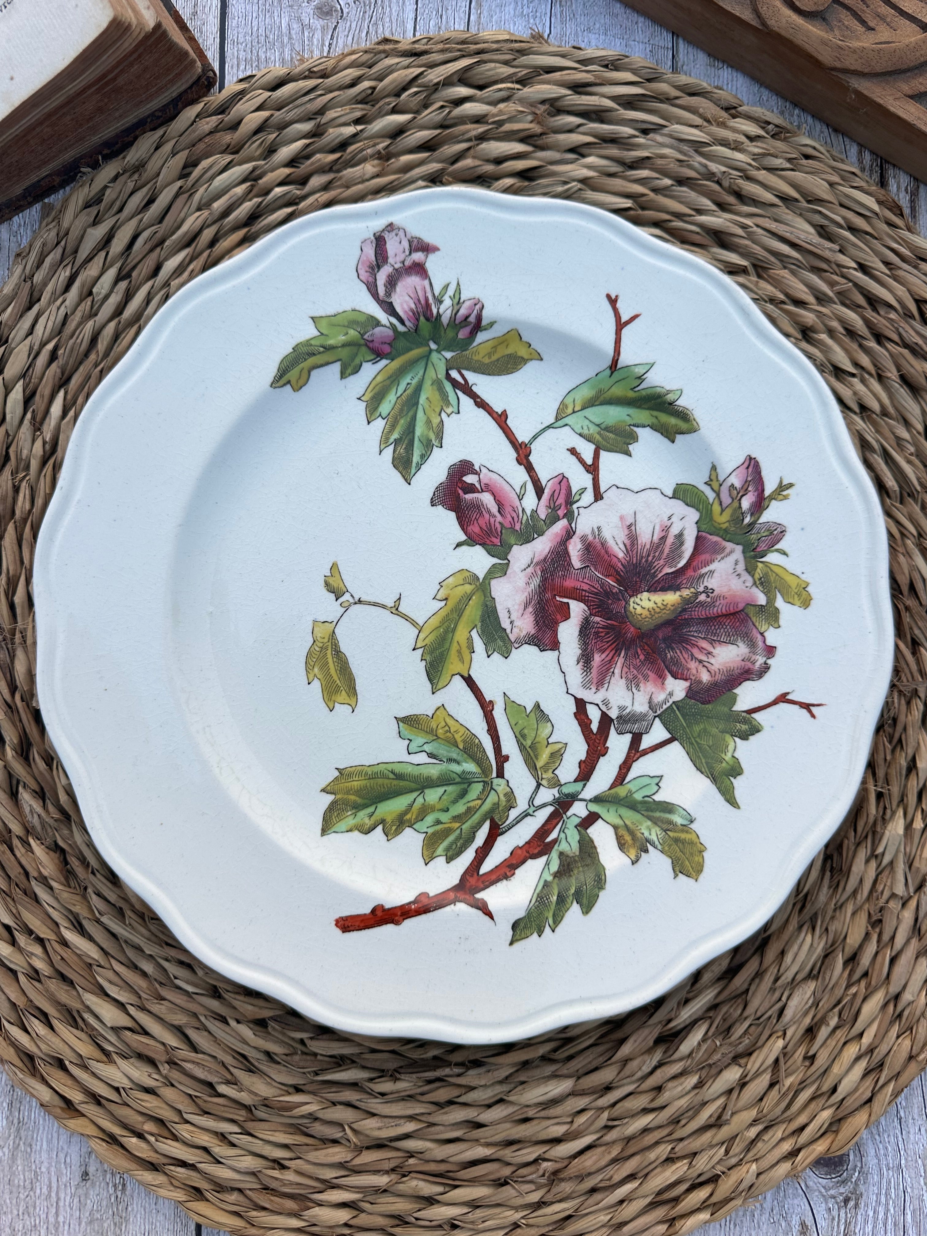 Assiette polychrome BWM & Co (Brown Westhead Moore) - Septembre 1868