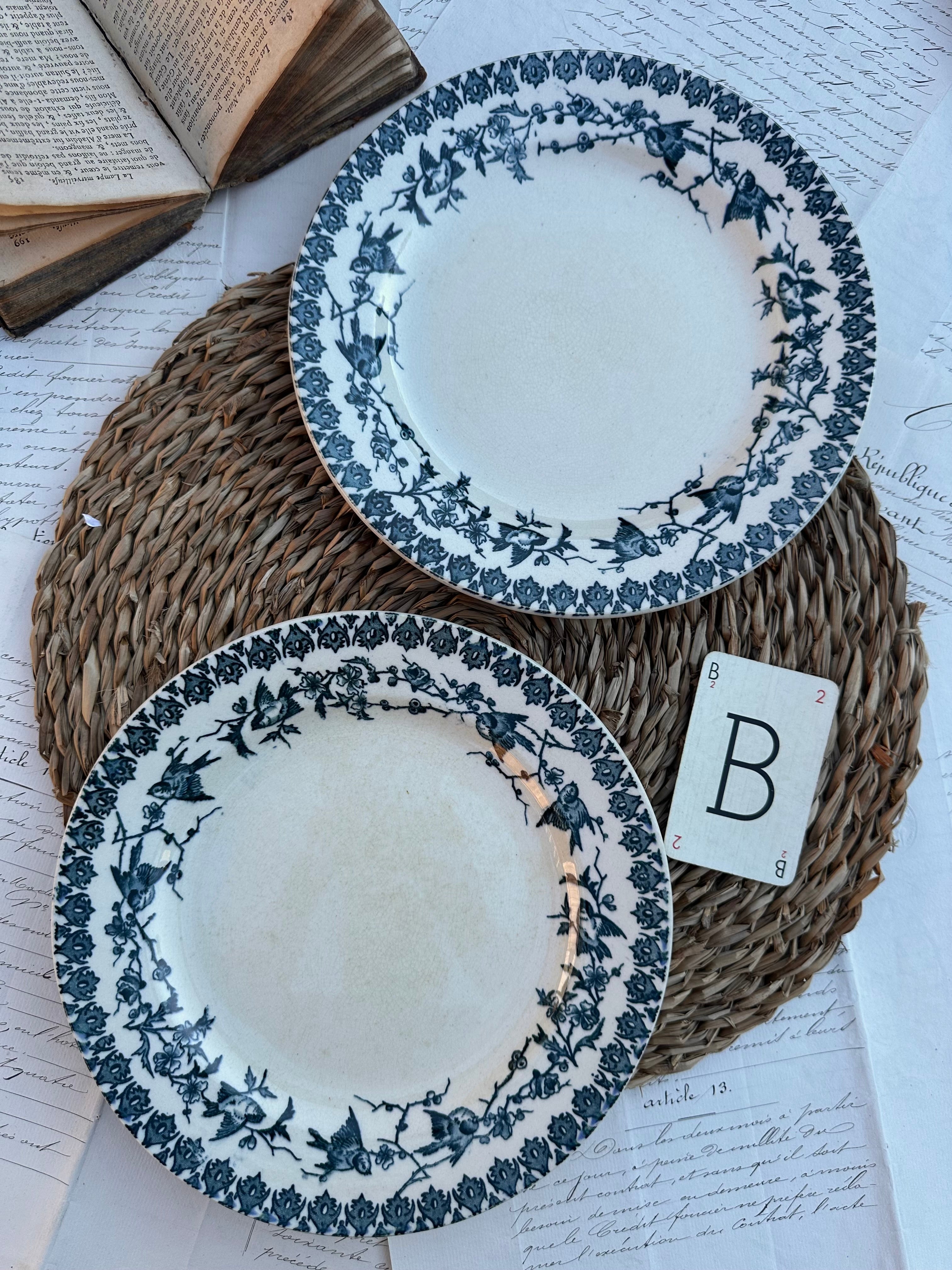 B. Duo d'assiettes plates Choisy le Roi modèle Lyonnais
