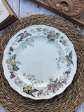Polychrome plate BWM & Co (Brown Westhead Moore) Indiana pattern - September 1868