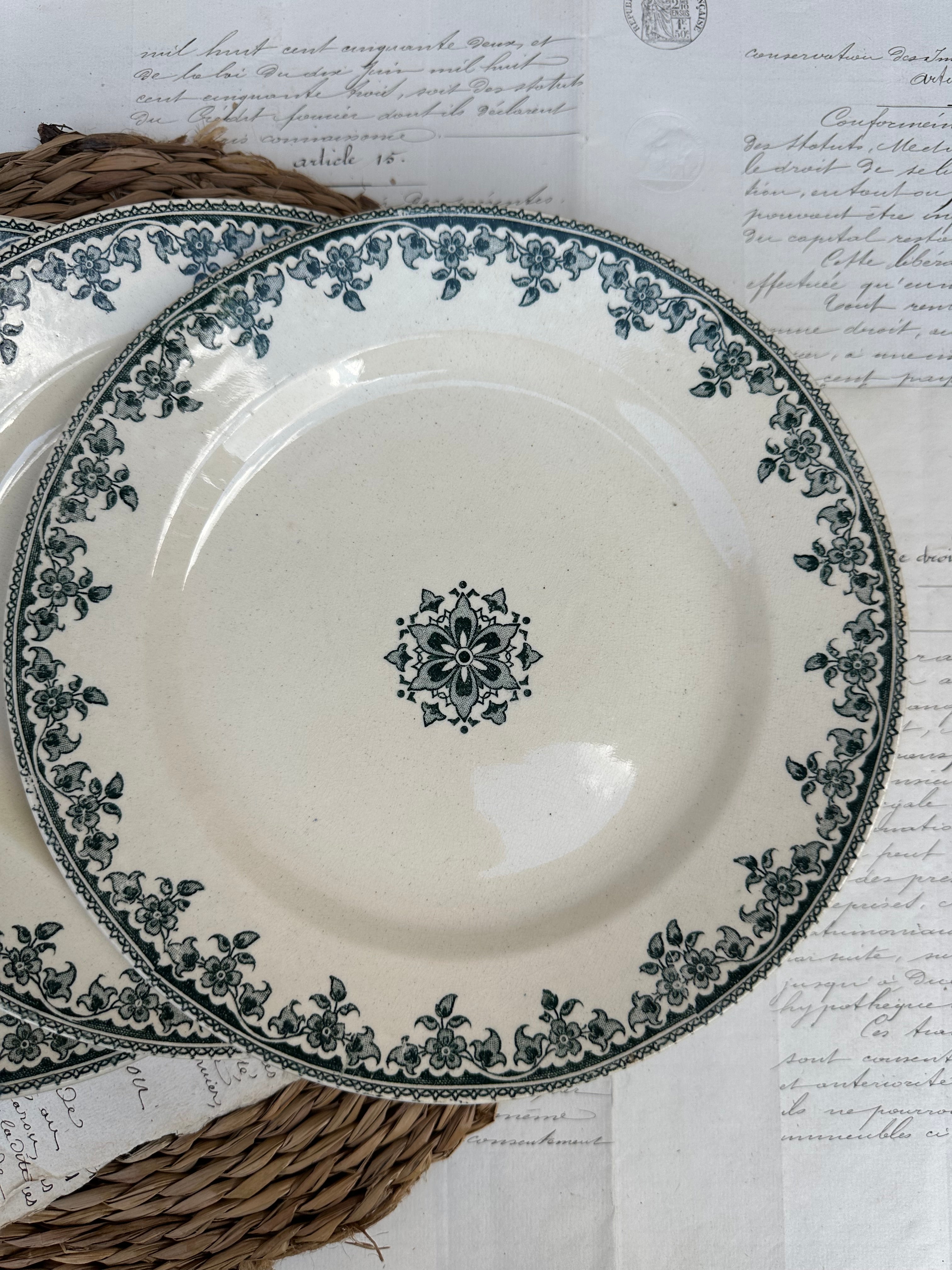 Suite de 5 assiettes plates Choisy le Roi modèle Gagny