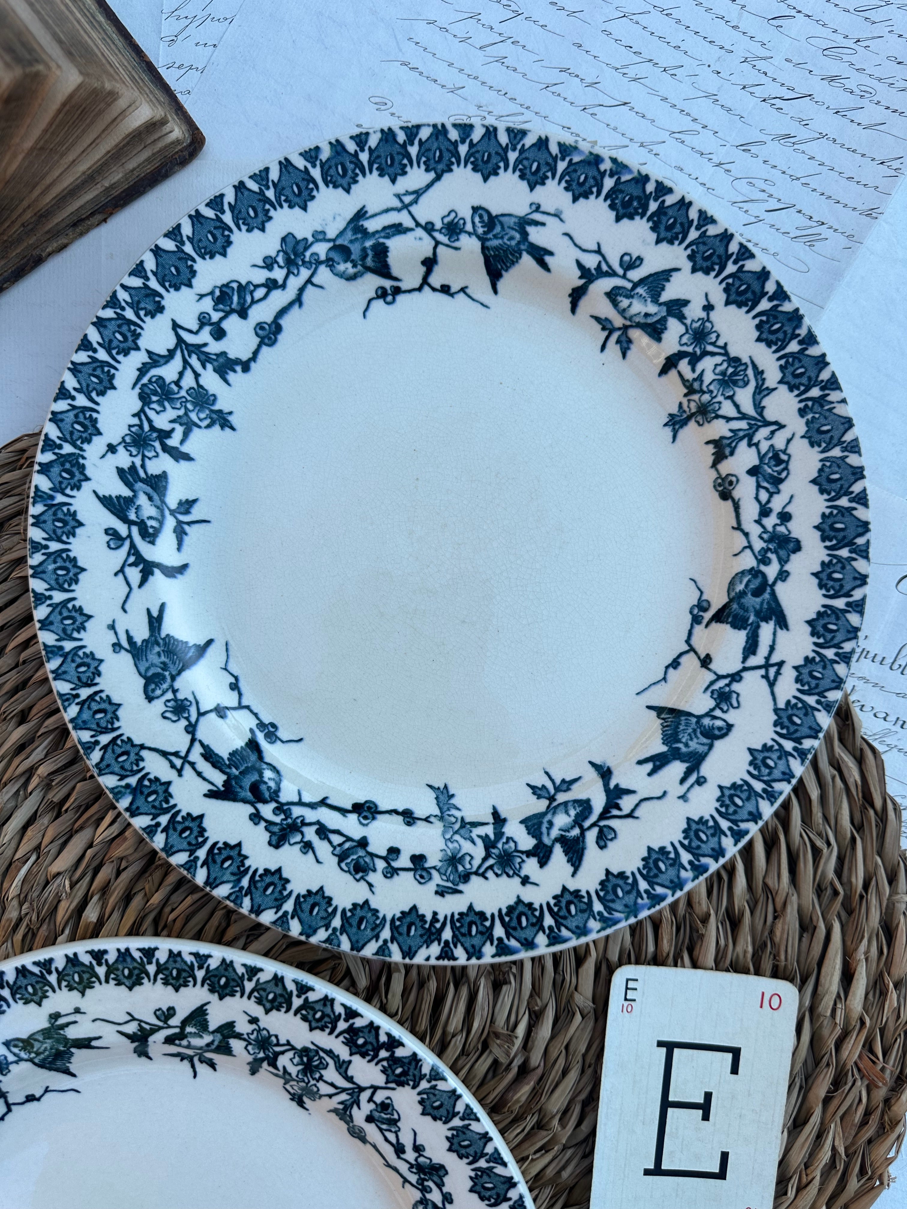 E. Duo d'assiettes plates Choisy le Roi modèle Lyonnais