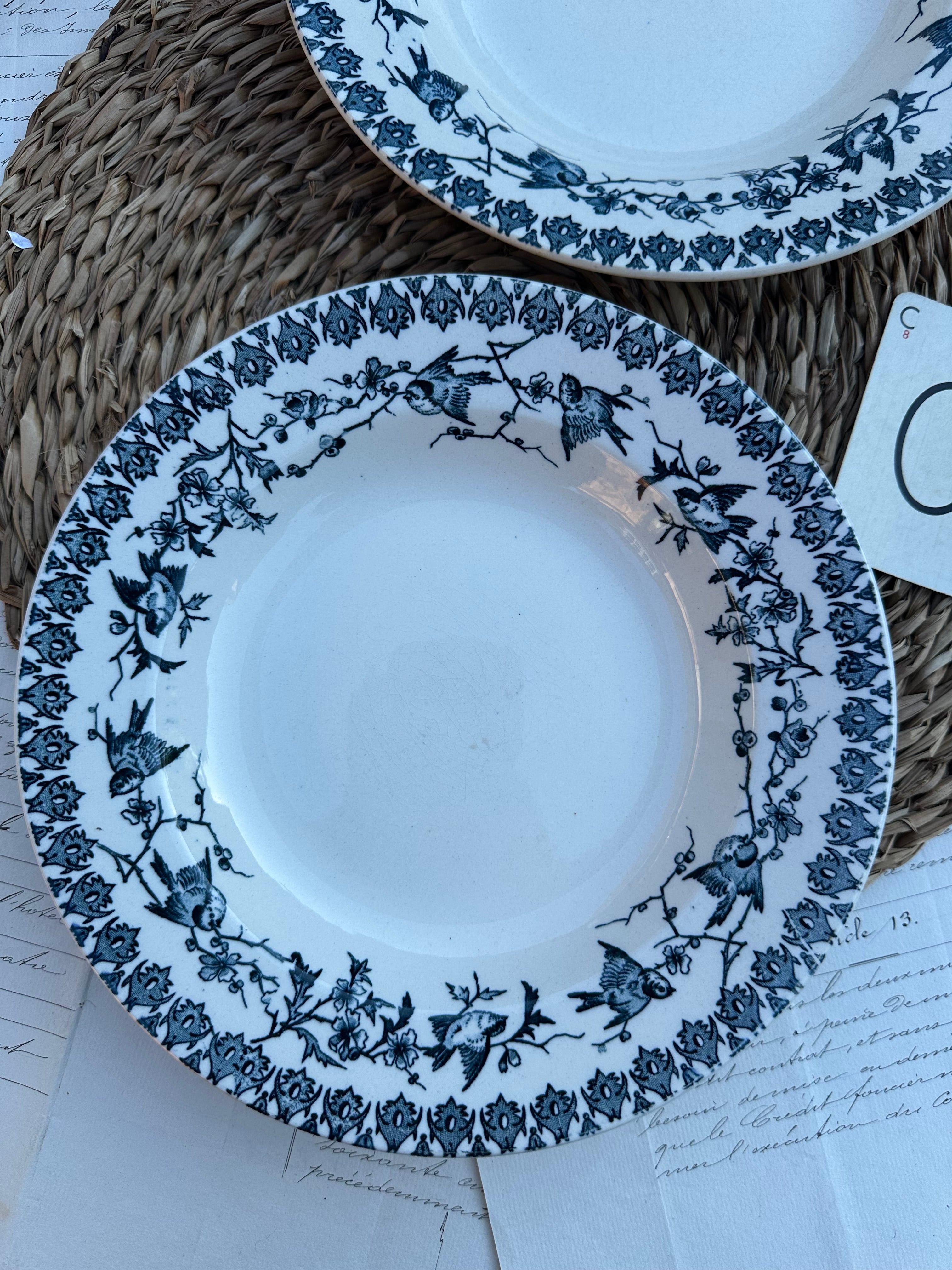 C. Duo d'assiettes creuses Choisy le Roi modèle Lyonnais