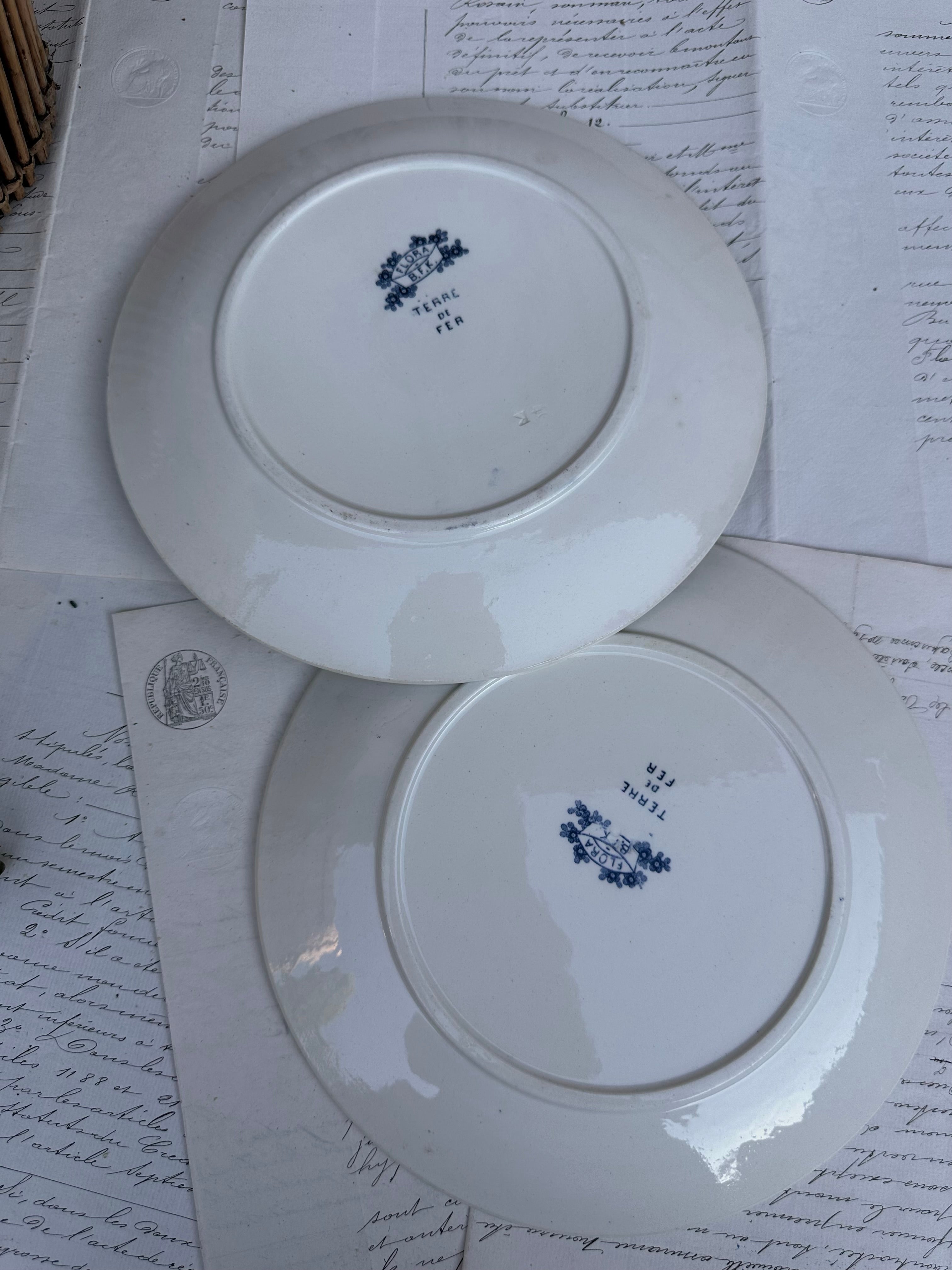 Duo d'assiettes BFK modèle Flora
