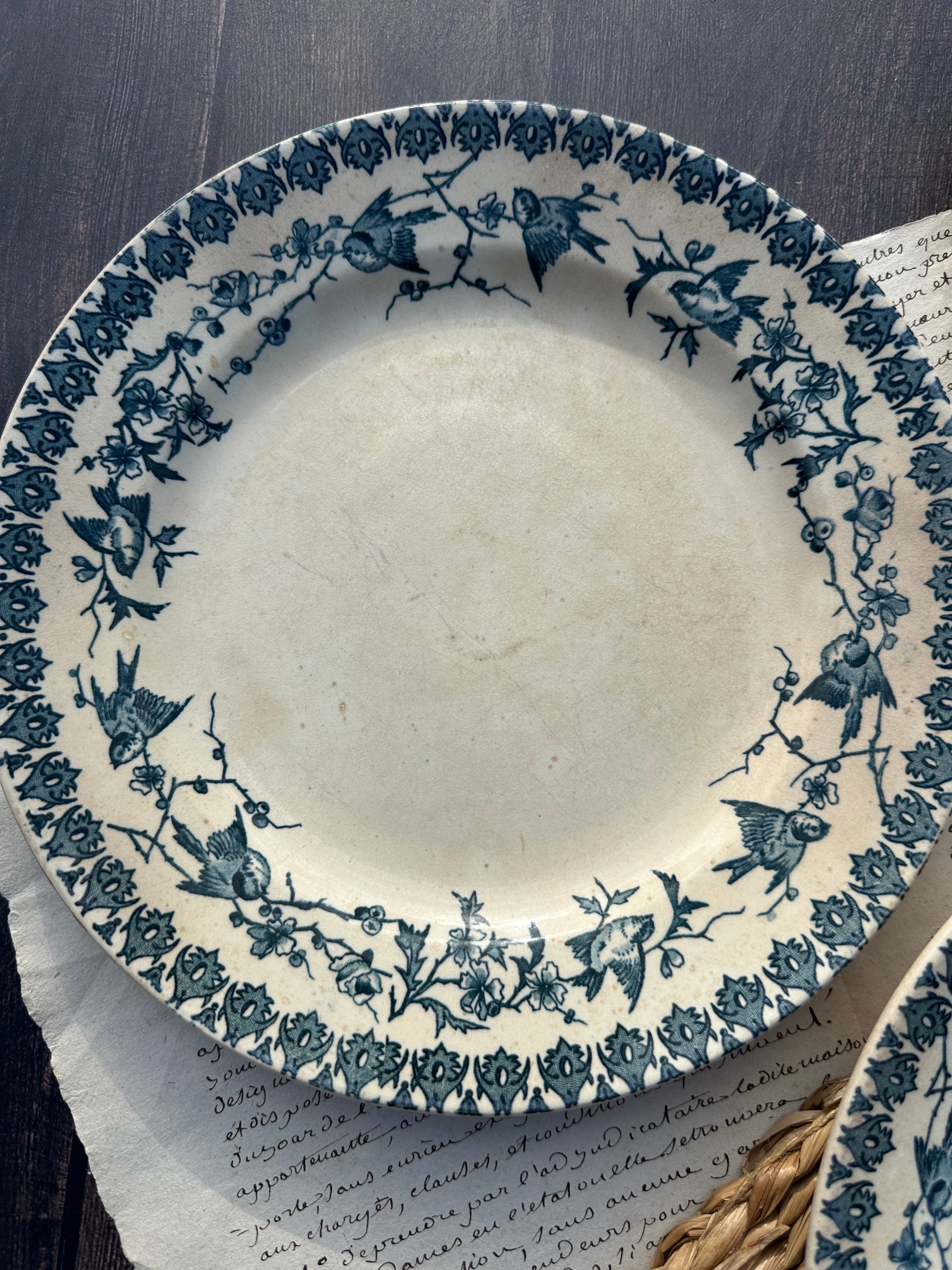 Reserved - 9 Choisy le Roi Lyonnais pattern plates (8 dinner plates and one dessert plate)