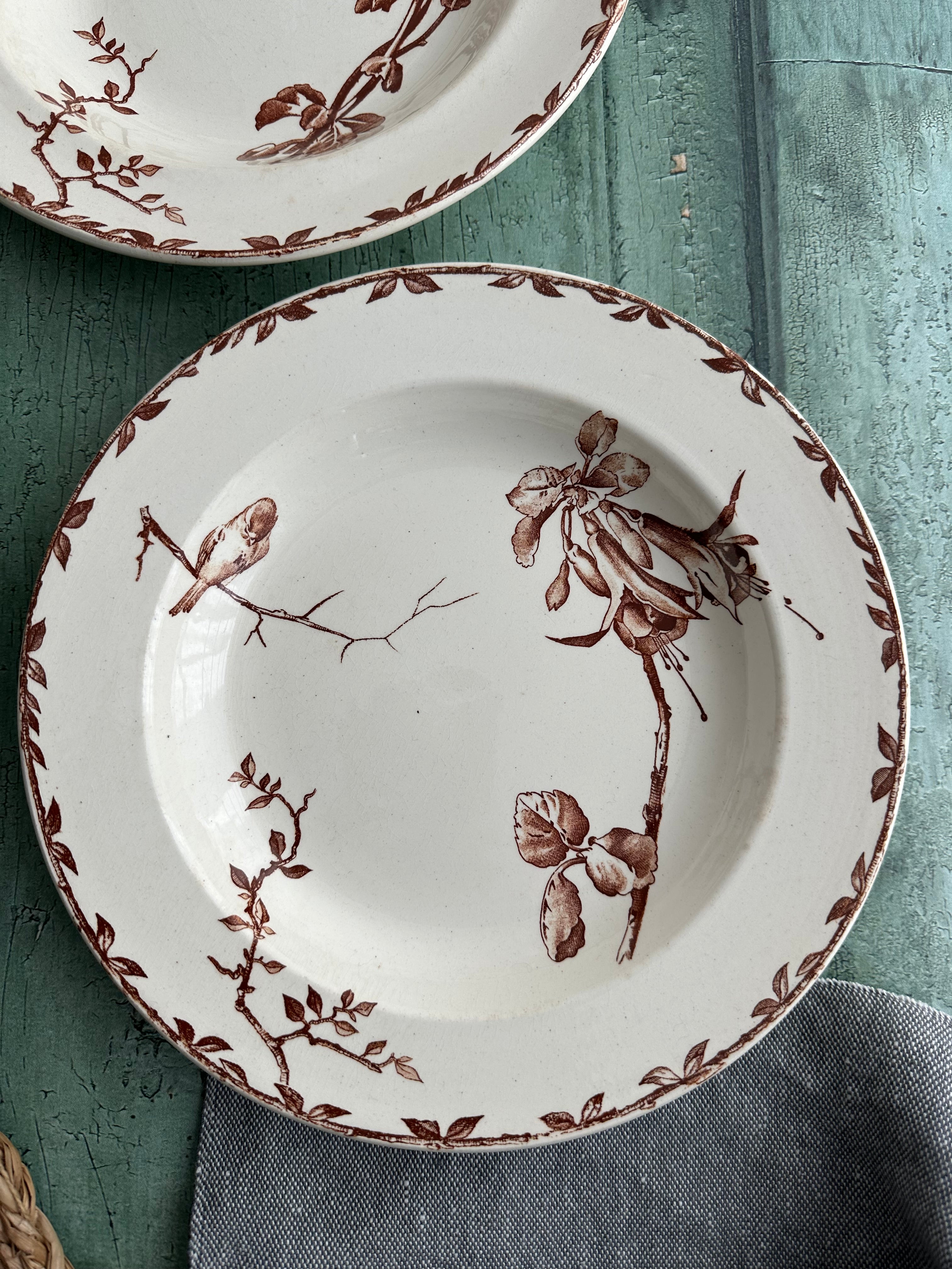 Set of 6 Choisy le Roi Oxford soup plates