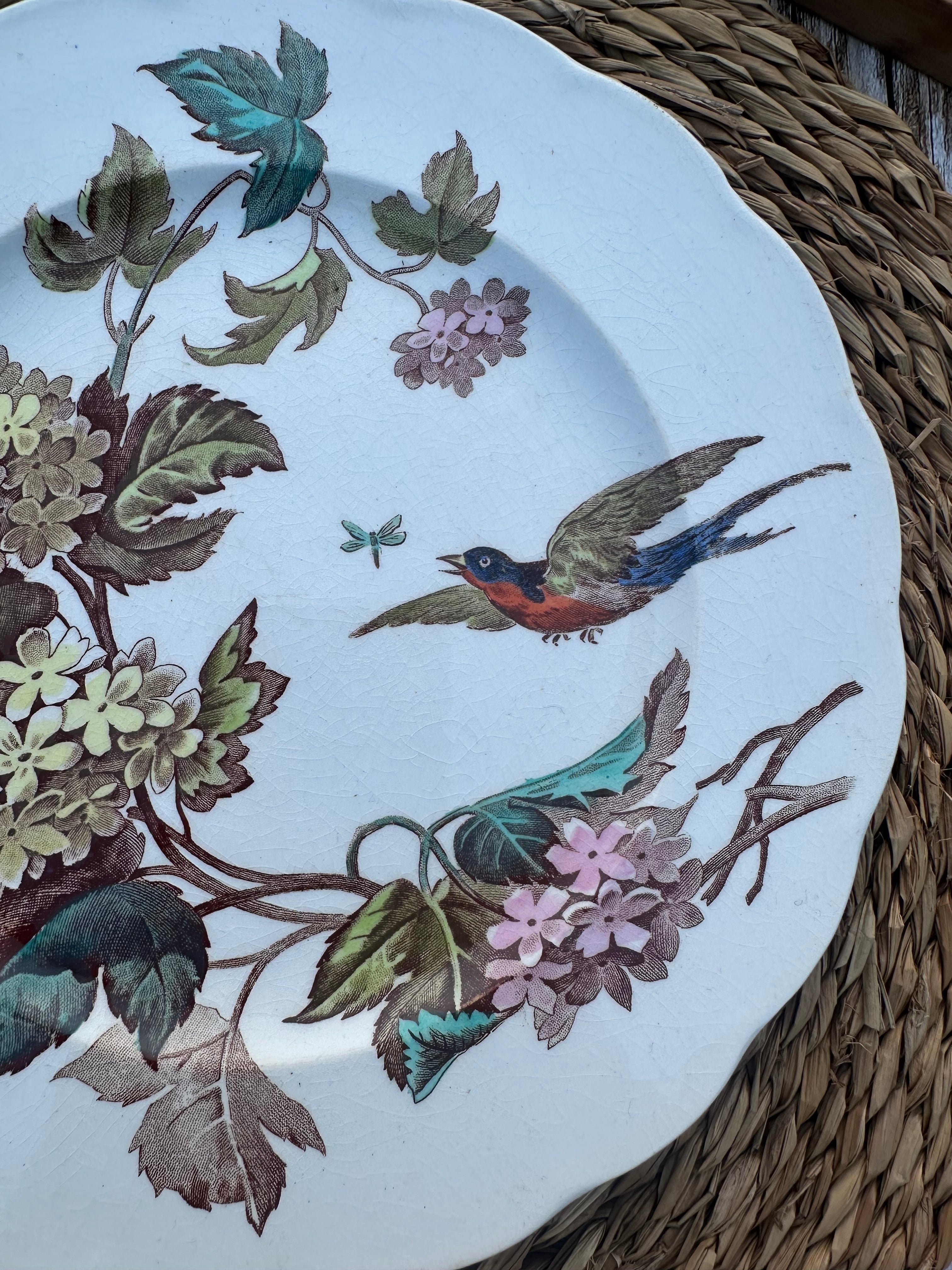 I. Assiette polychrome Heathcote Bone modèle Kensington