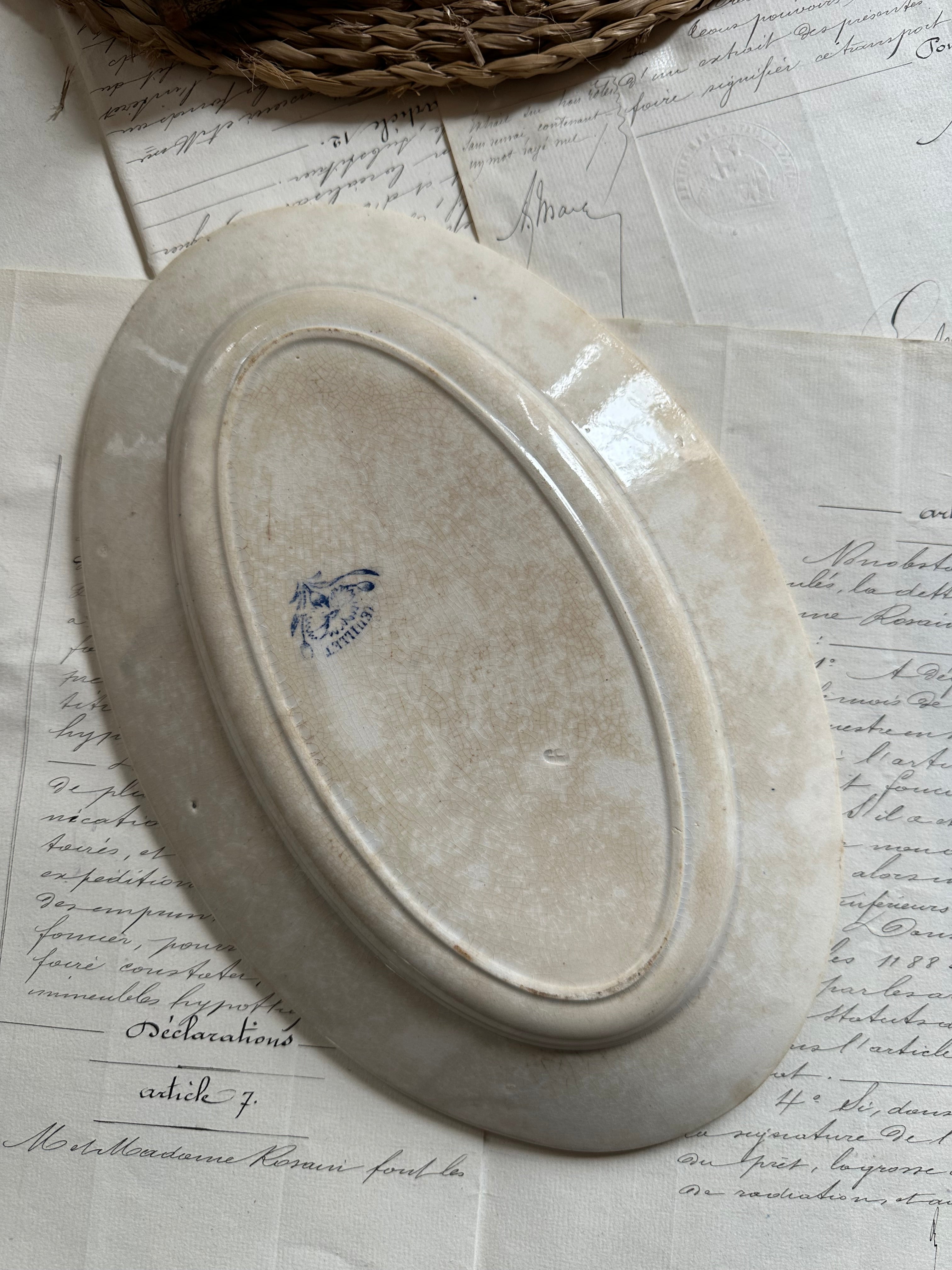 Small oval ironstone dish, Carnation pattern