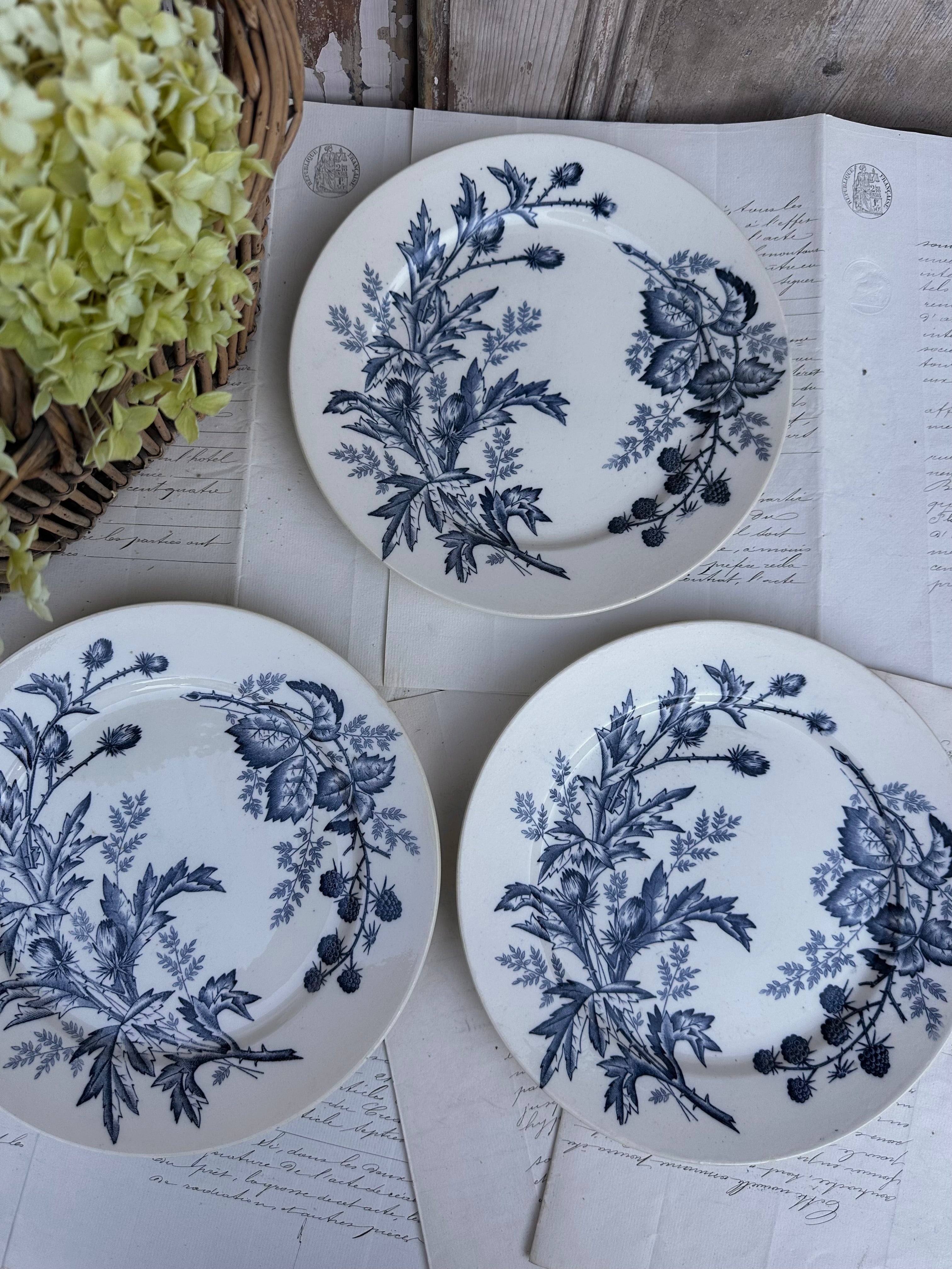 I. Trio d'assiettes BFK modèle Flora