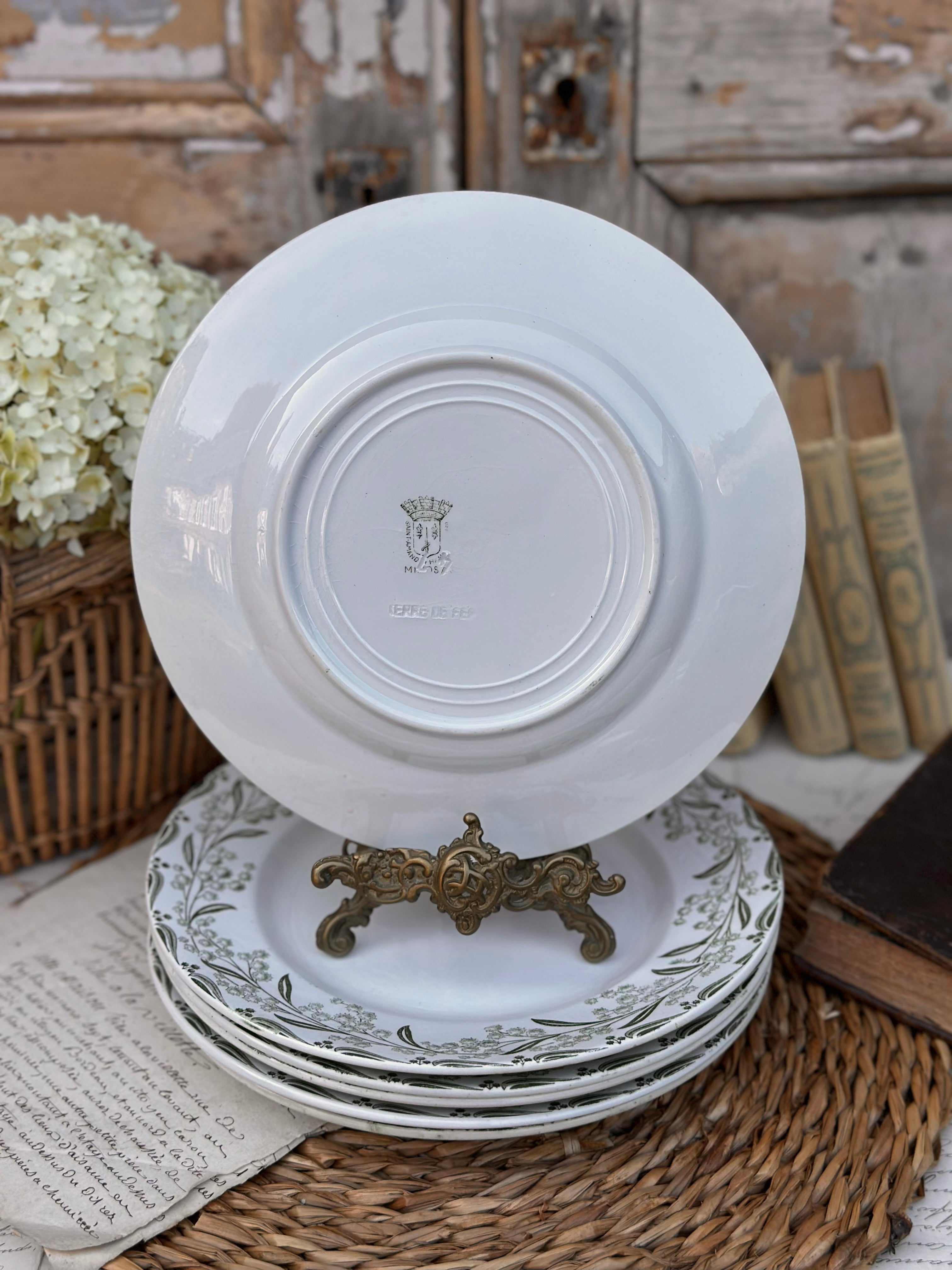 II. Série de 6 assiettes plates St. Amand modèle Mimosa