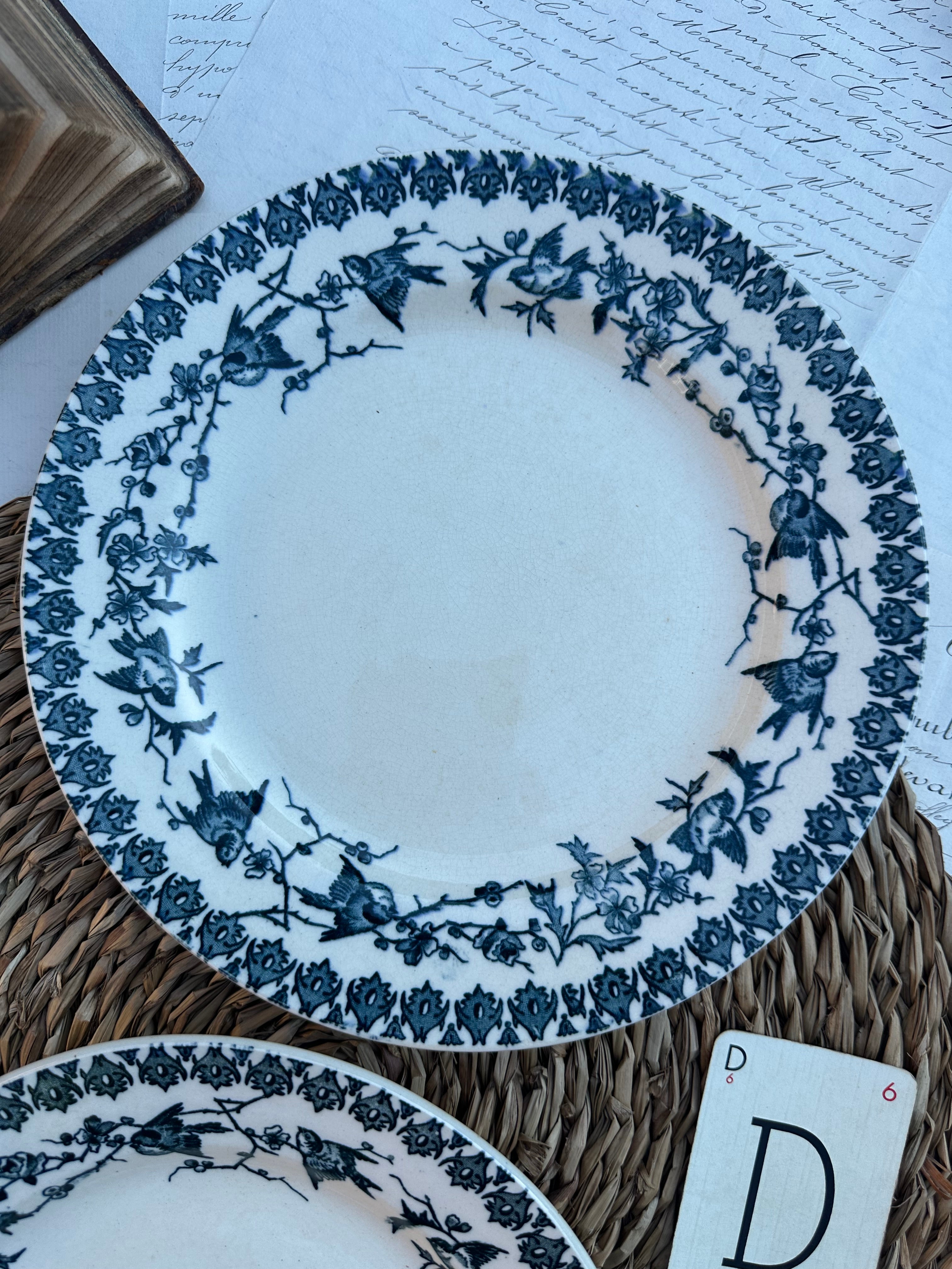 D. Duo d'assiettes plates Choisy le Roi modèle Lyonnais