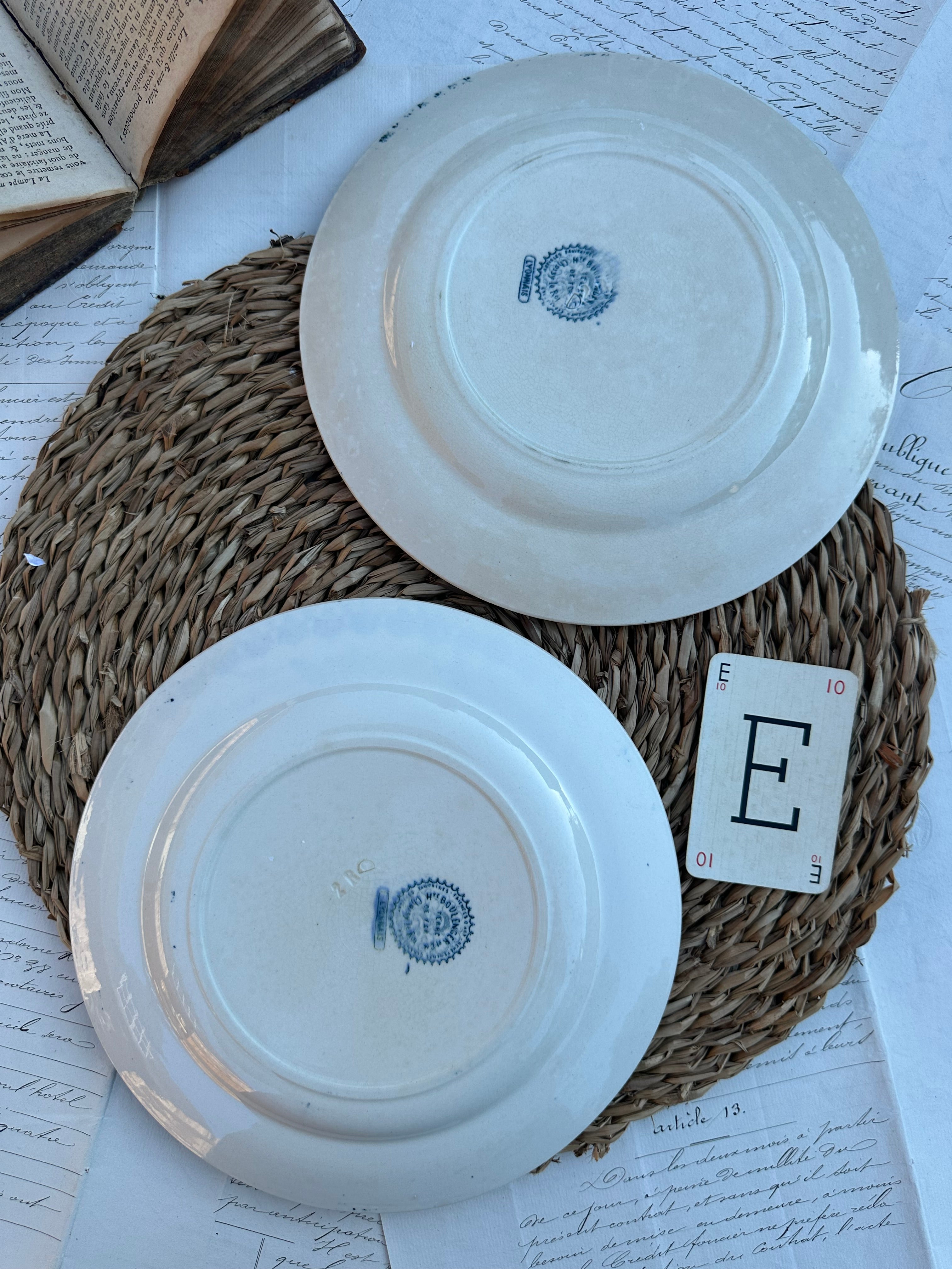 E. Duo d'assiettes plates Choisy le Roi modèle Lyonnais