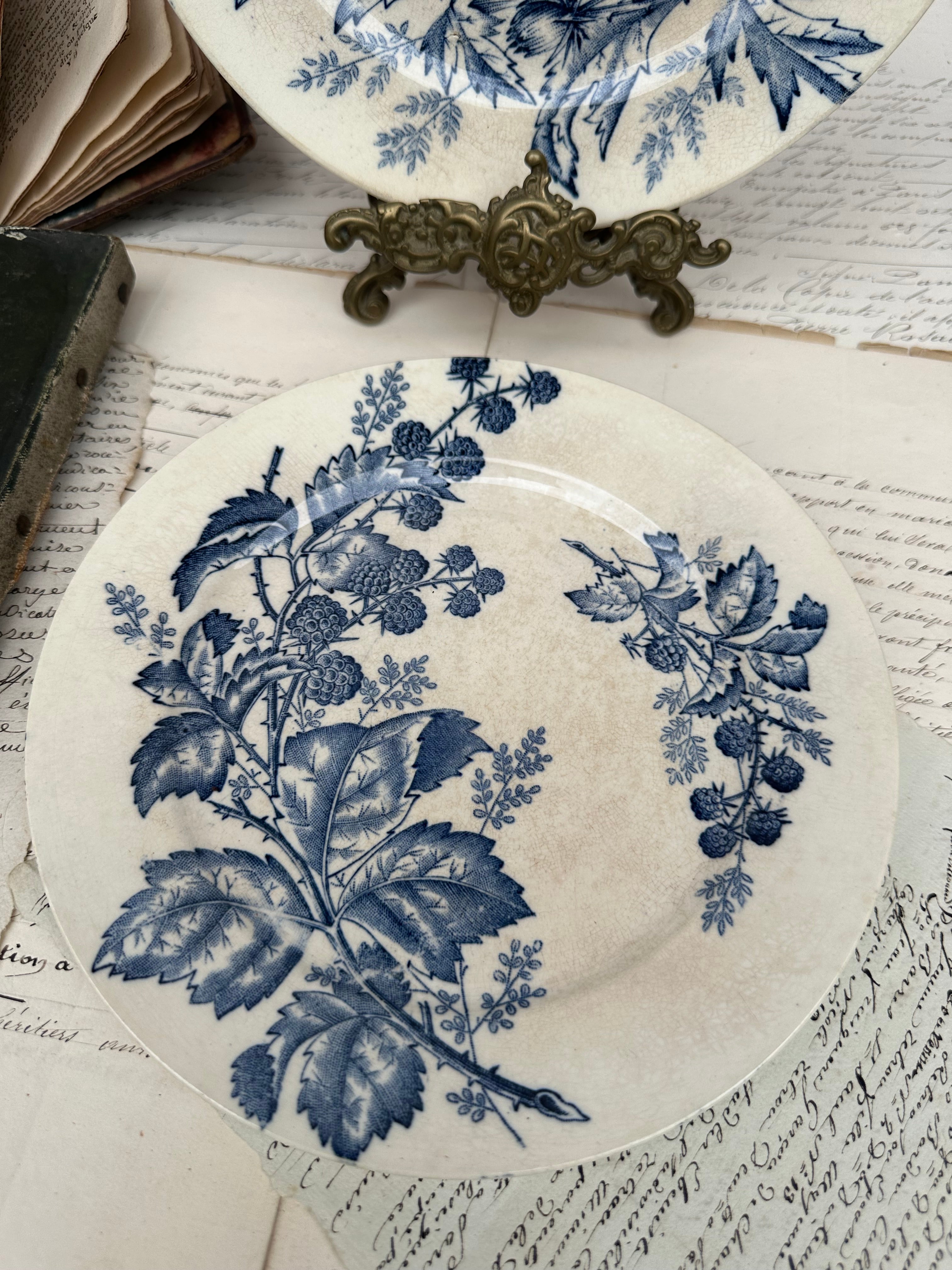 II. Two BFK Flora pattern plates