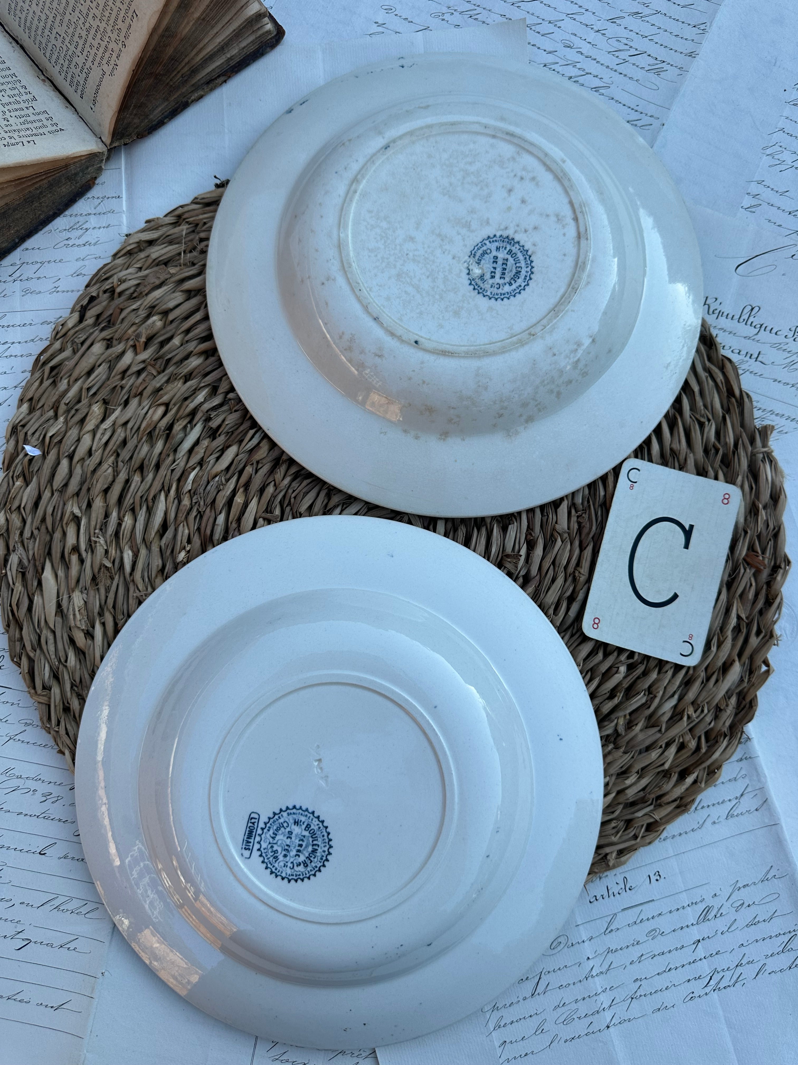 C. Duo d'assiettes creuses Choisy le Roi modèle Lyonnais