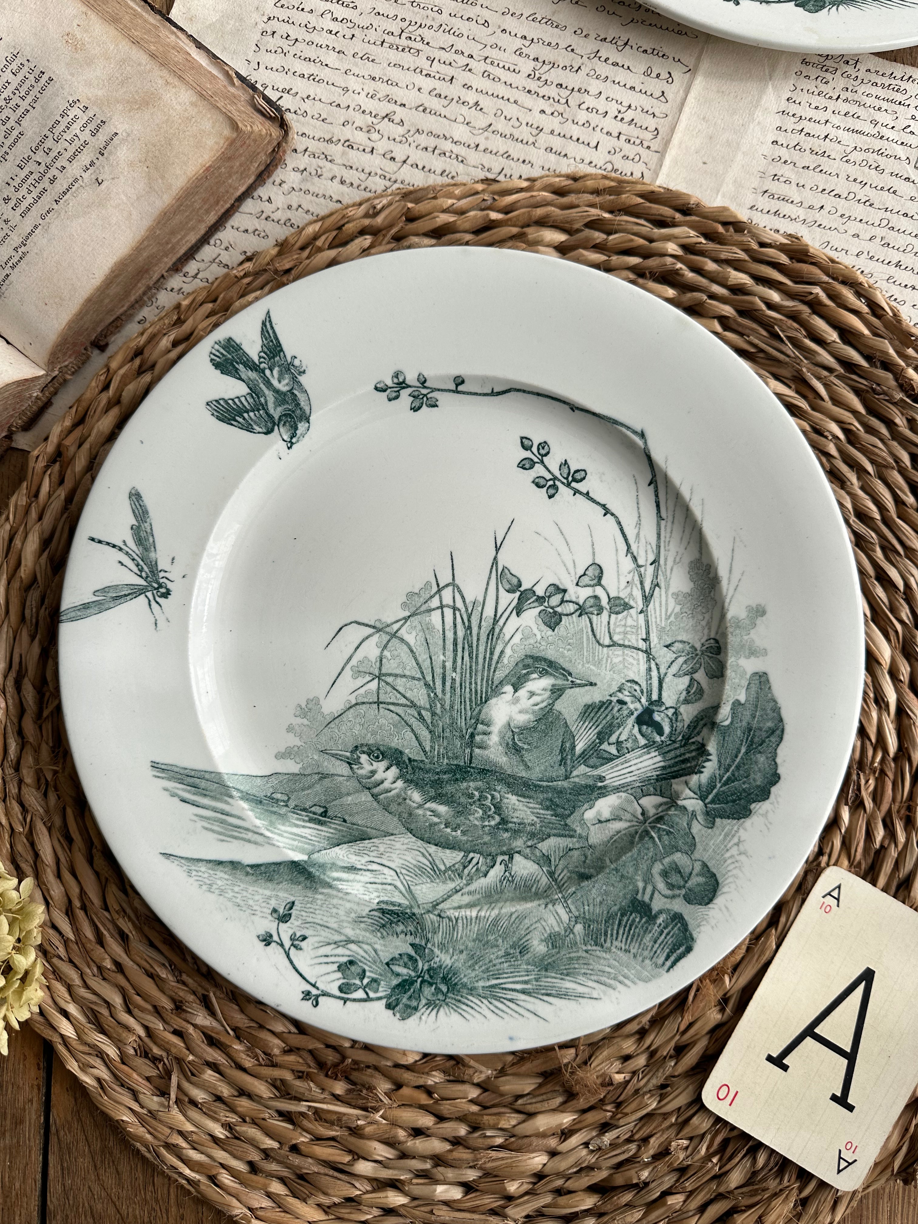 Assiette plate Jules Vieillard Bordeaux modèle Oiseaux