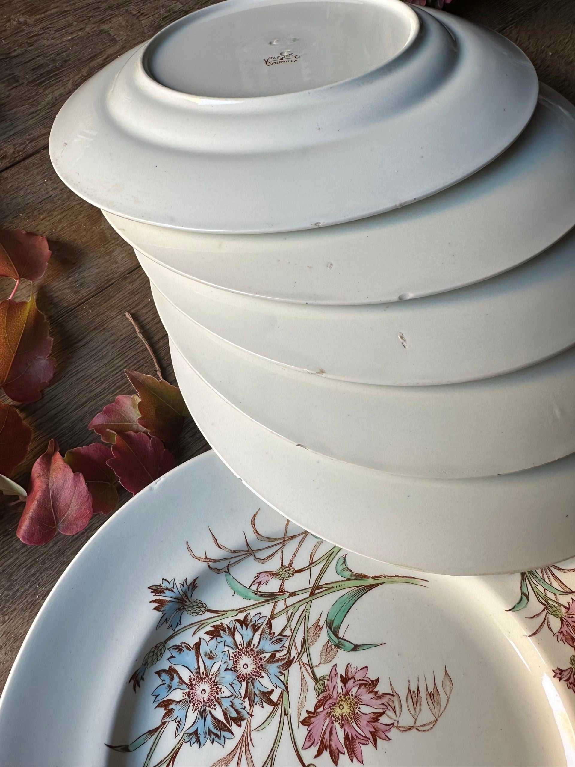 Ensemble de 6 assiettes plates Lunéville modèle Bleuet - petits défauts