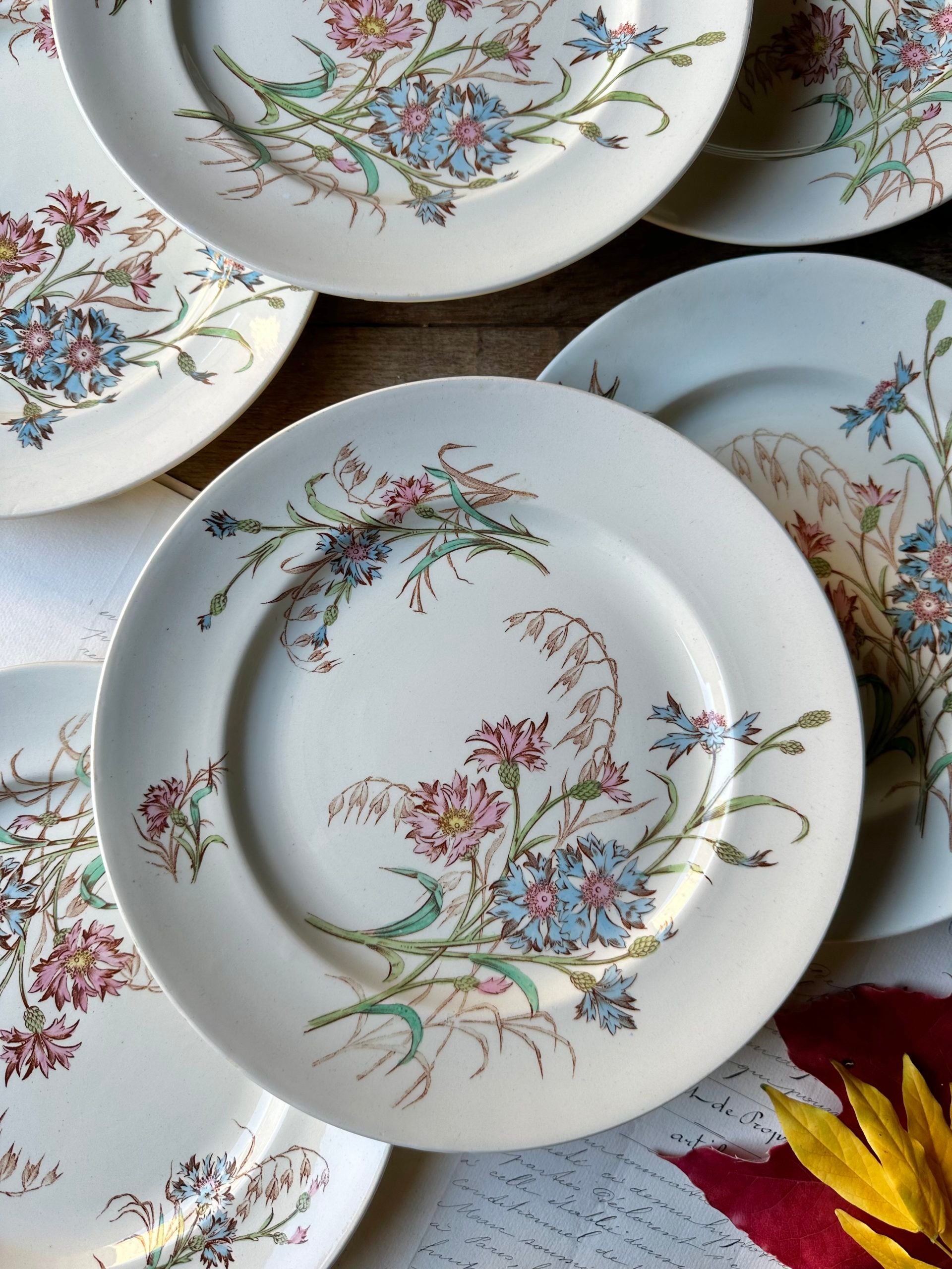 Ensemble de 6 assiettes plates Lunéville modèle Bleuet - petits défauts