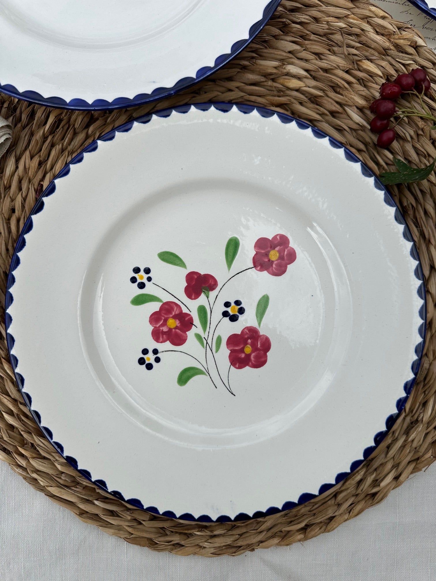 Set of 6 Salins Rosemonde pattern dinner plates