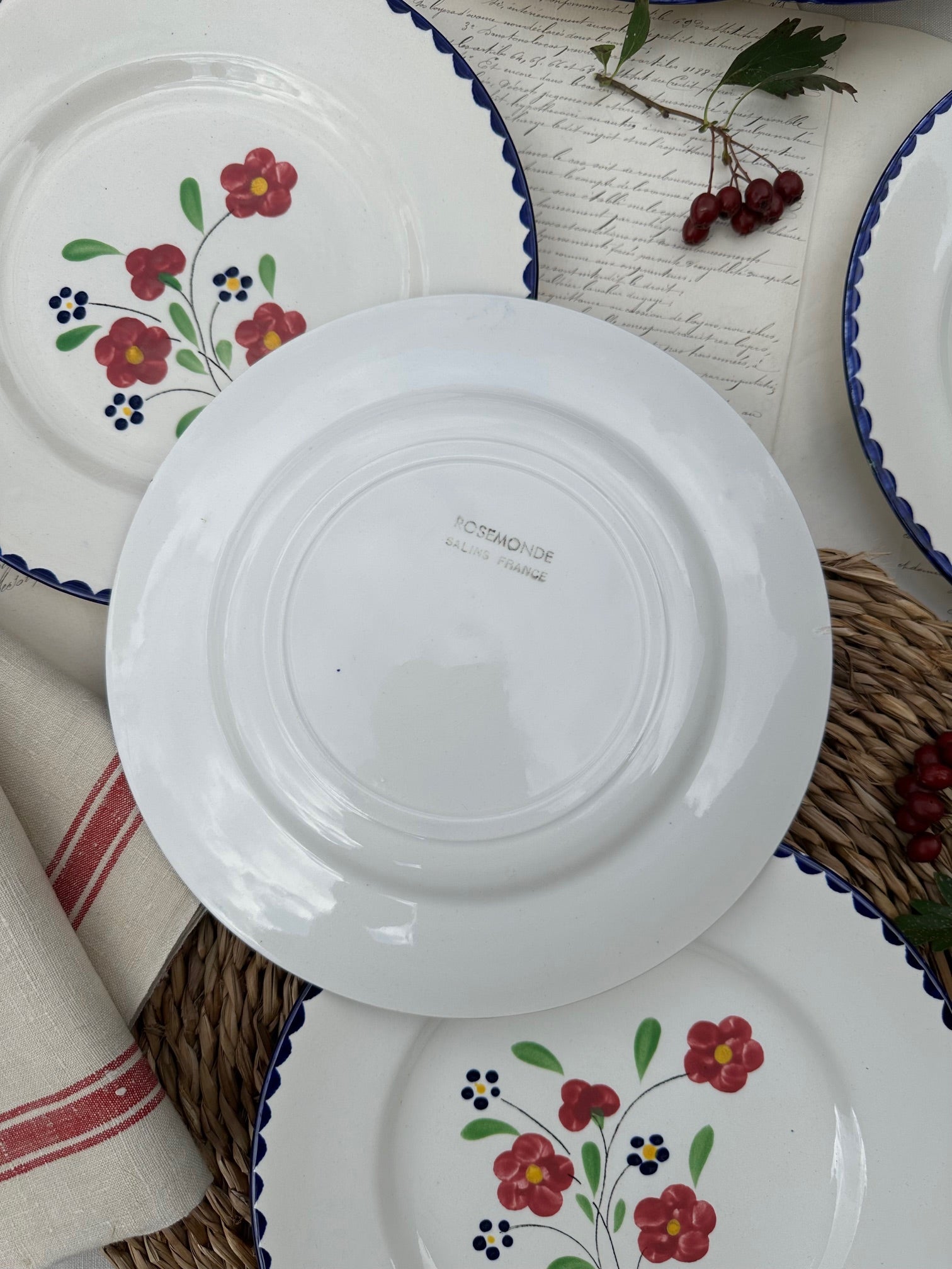 Set of 6 Salins Rosemonde pattern dinner plates