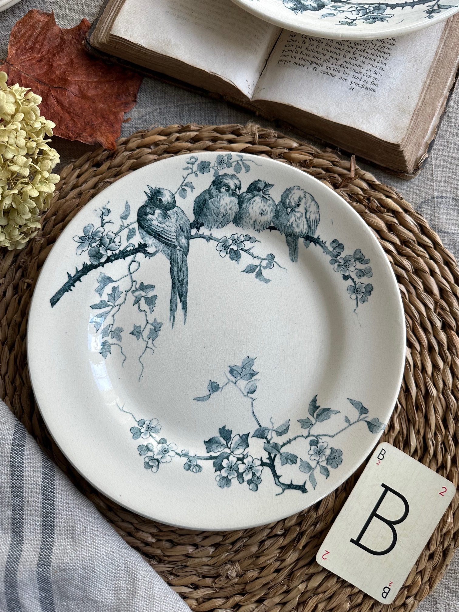 Assiette plate terre de fer E. M.Cie modèle Pierrettes