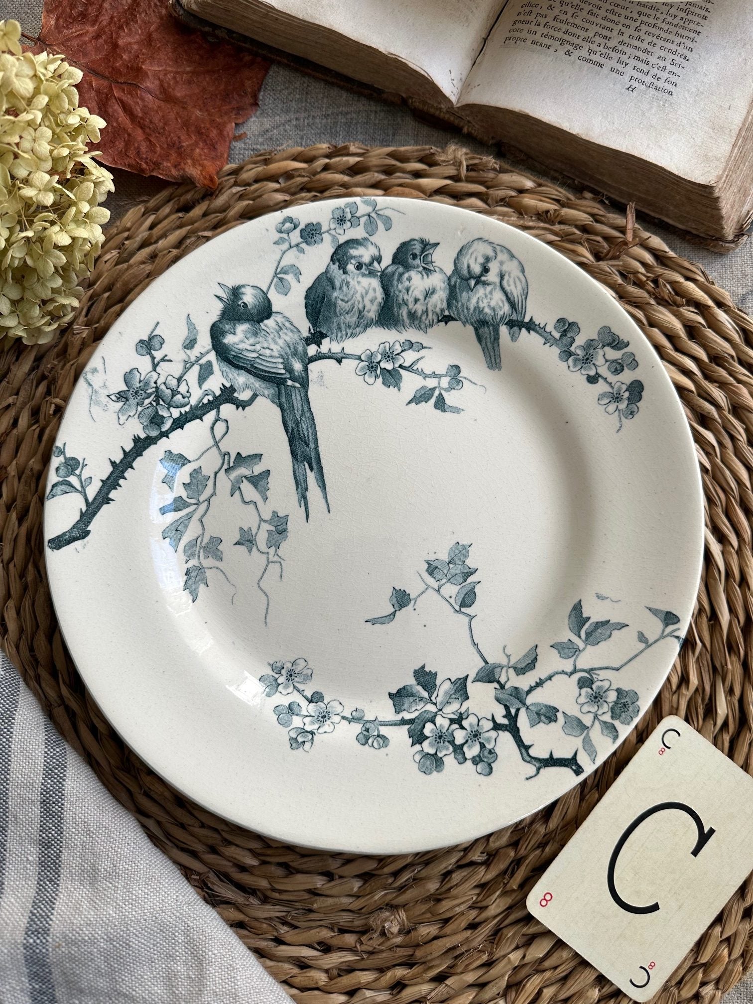 Assiette plate terre de fer E. M.Cie modèle Pierrettes