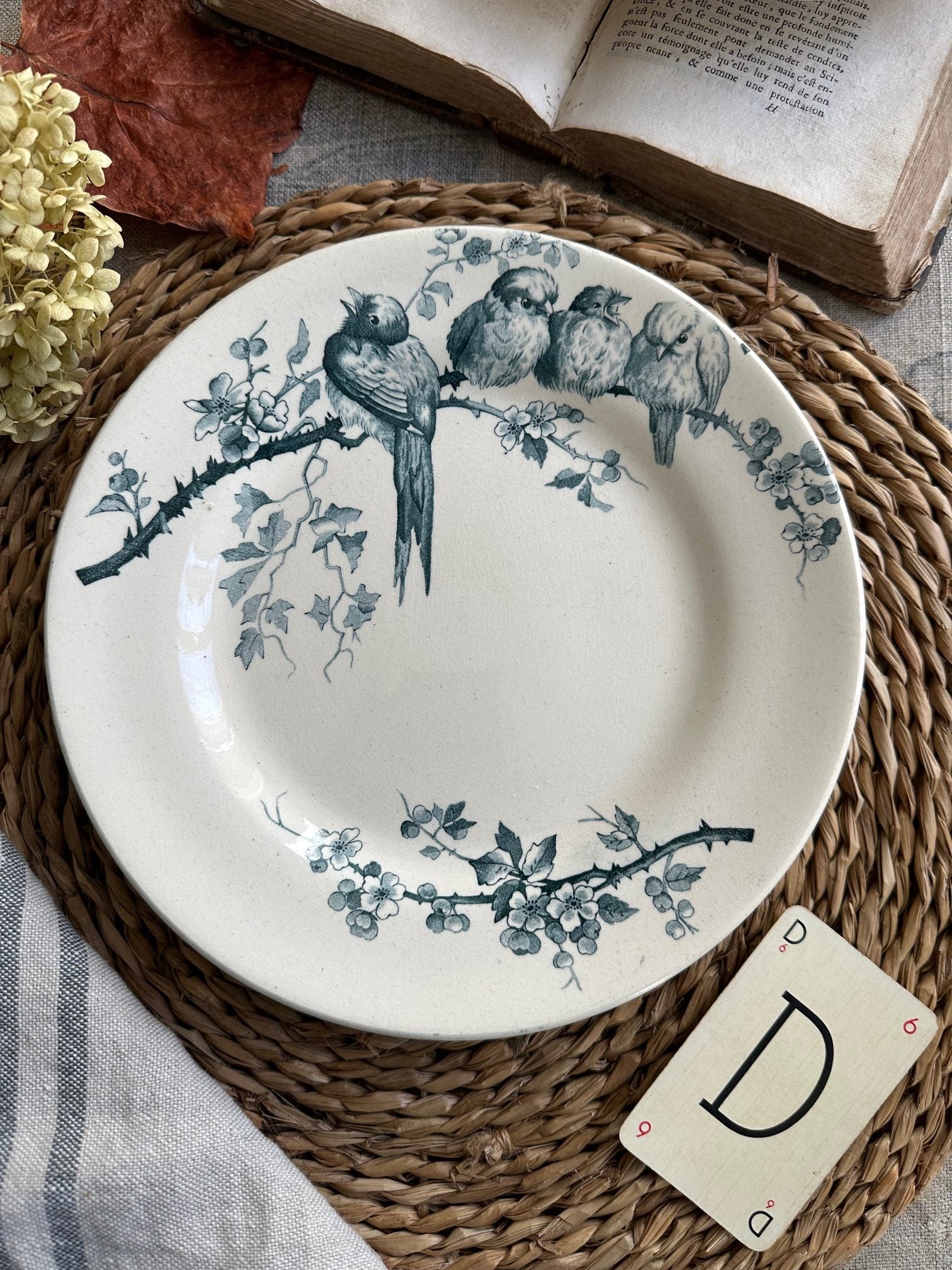 Assiette plate terre de fer E. M.Cie modèle Pierrettes