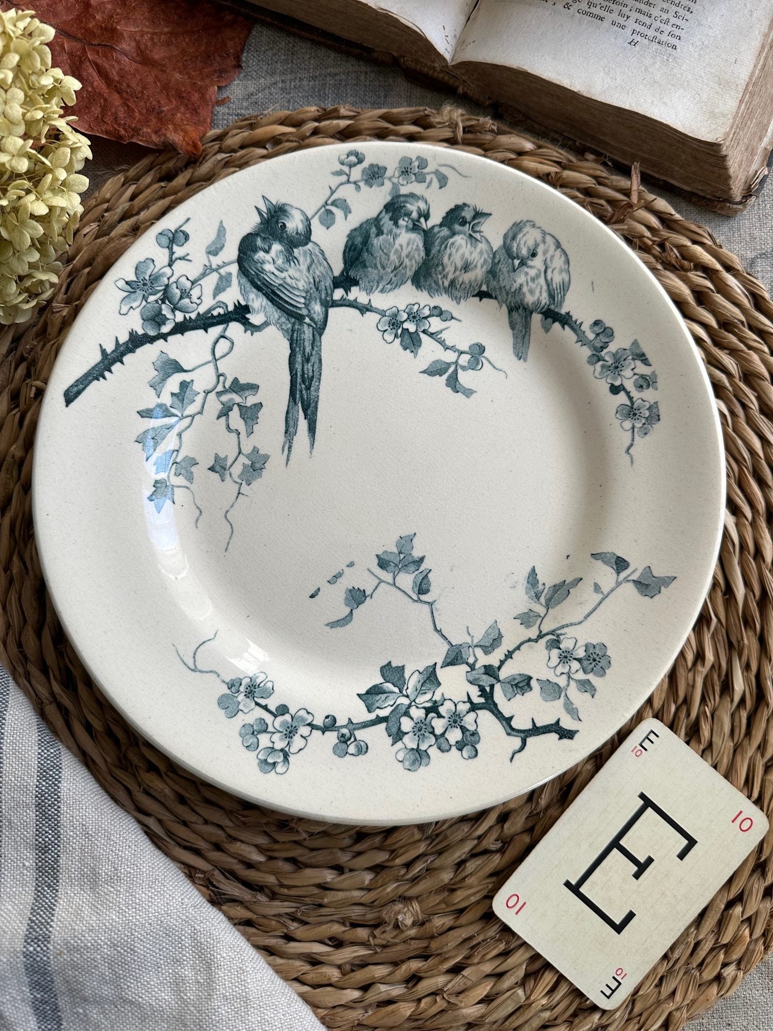Assiette plate terre de fer E. M.Cie modèle Pierrettes