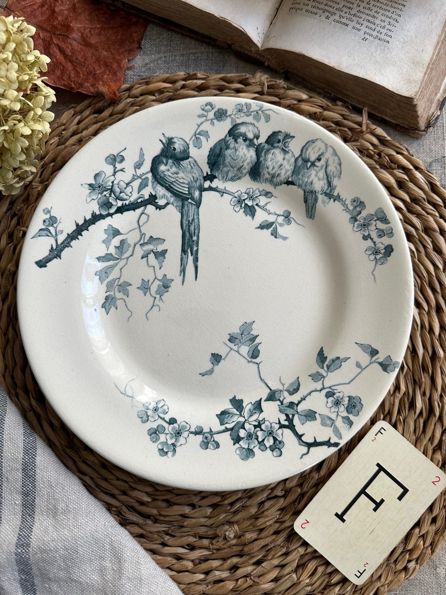 Assiette plate terre de fer E. M.Cie modèle Pierrettes