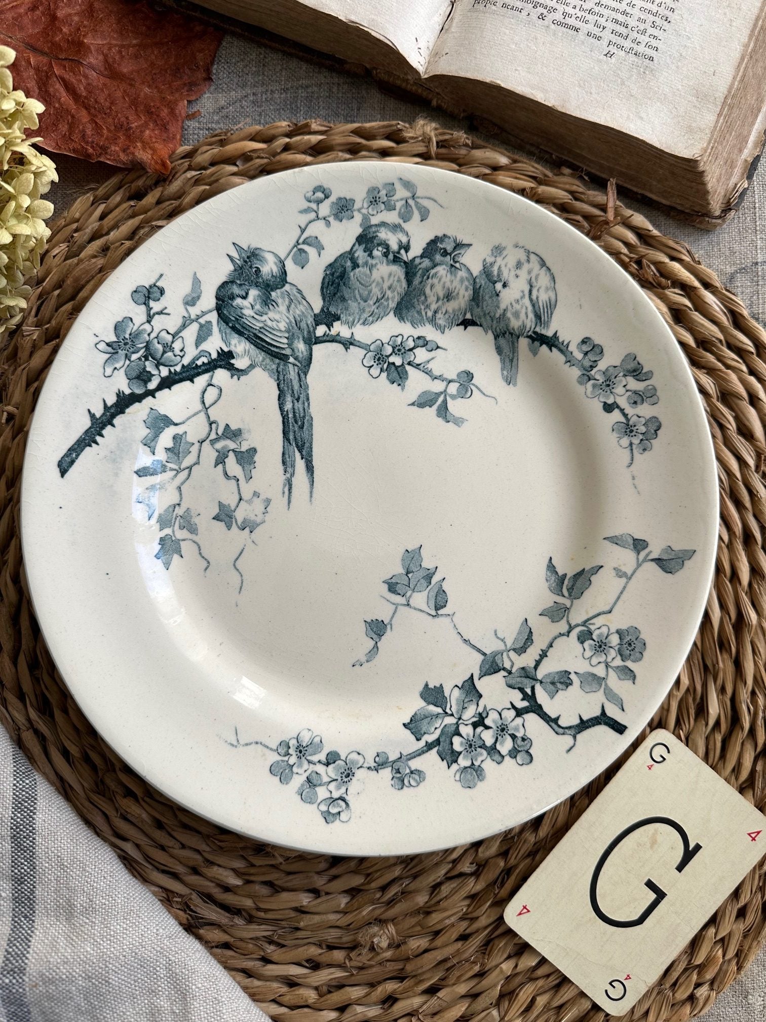 Assiette plate terre de fer E. M.Cie modèle Pierrettes