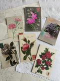 VII. Set of 6 antique floral postcards