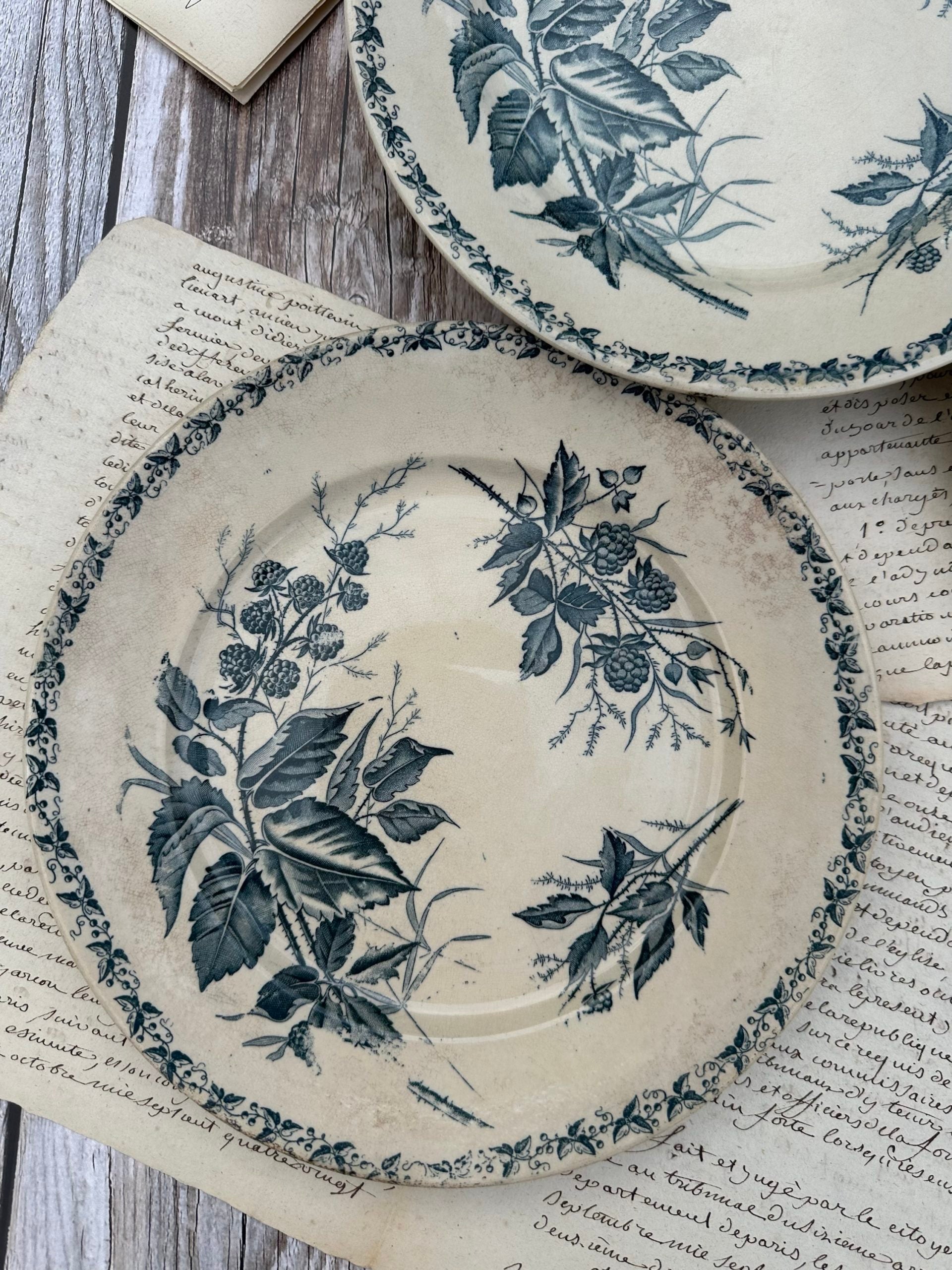 Set of 6 patinated Badonviller flat plates, Blackberry pattern
