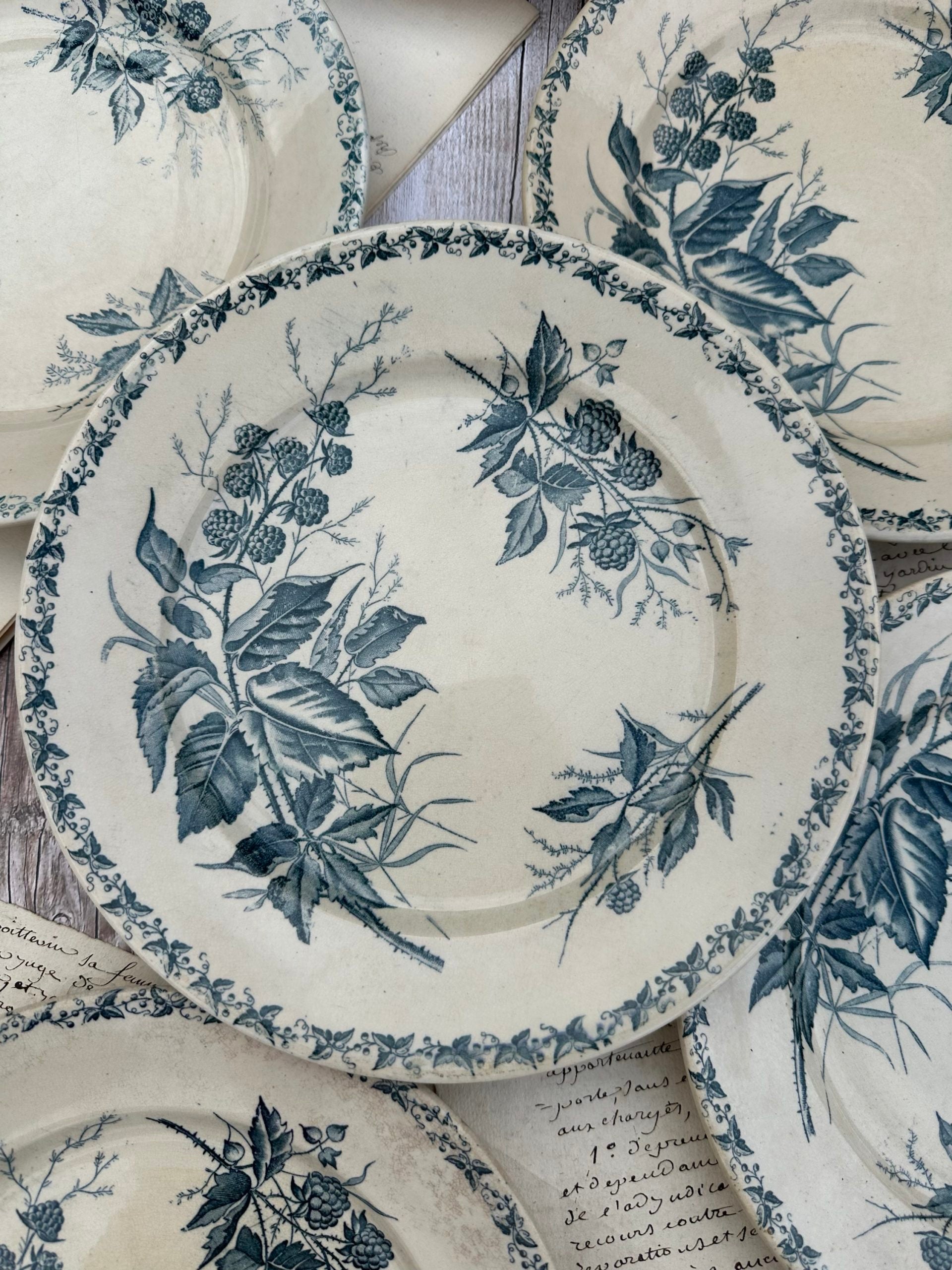 Set of 6 patinated Badonviller flat plates, Blackberry pattern