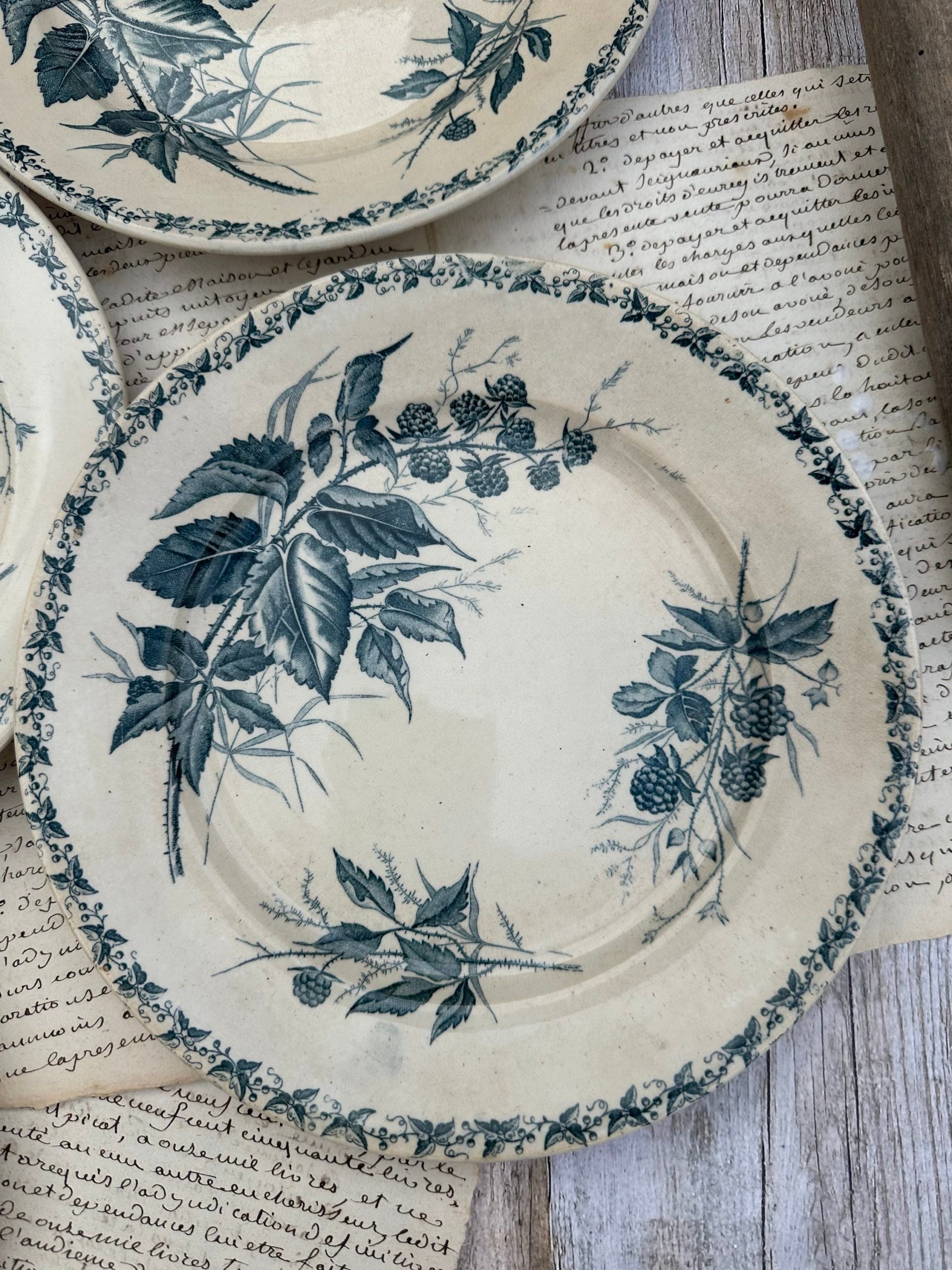 Set of 6 patinated Badonviller flat plates, Blackberry pattern