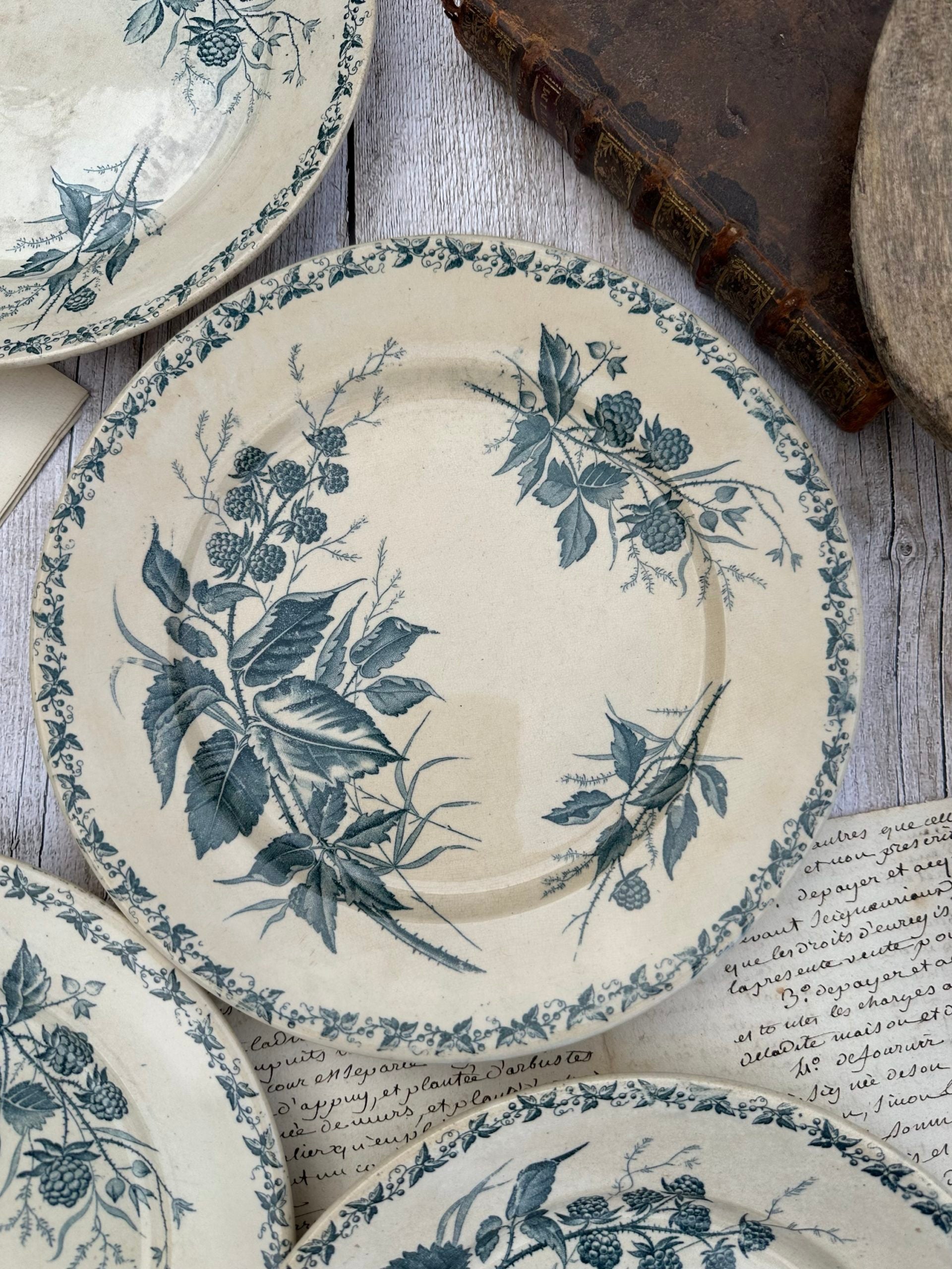 Set of 6 patinated Badonviller flat plates, Blackberry pattern